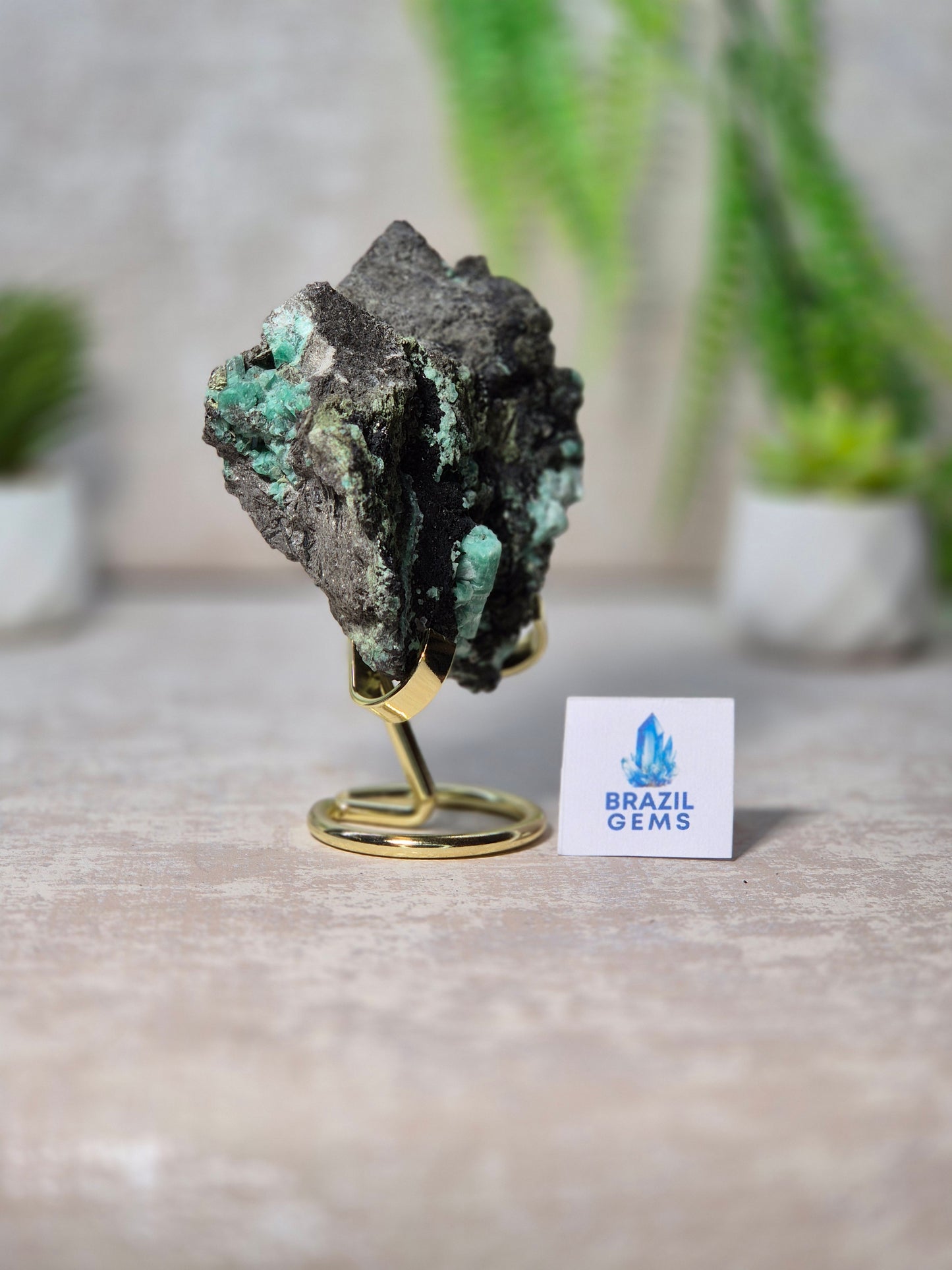 Emerald specimen on Xist