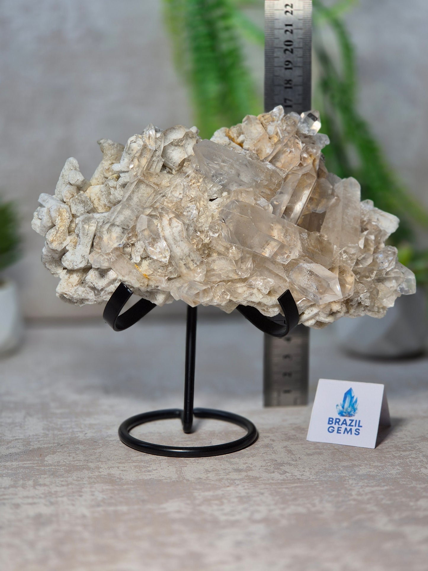 Lodolite Quartz Cluster