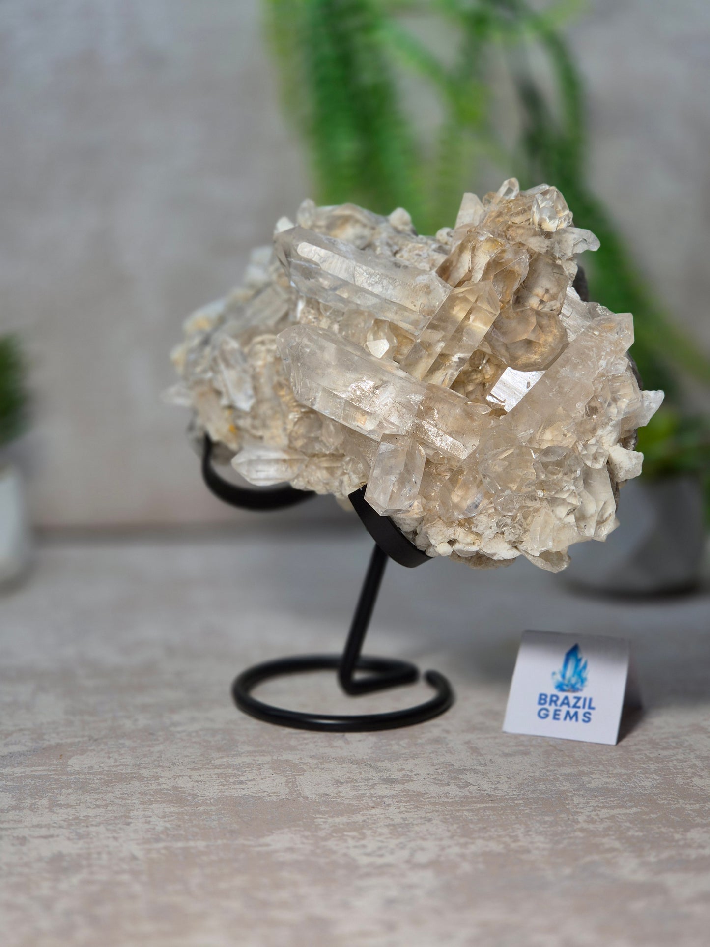 Lodolite Quartz Cluster
