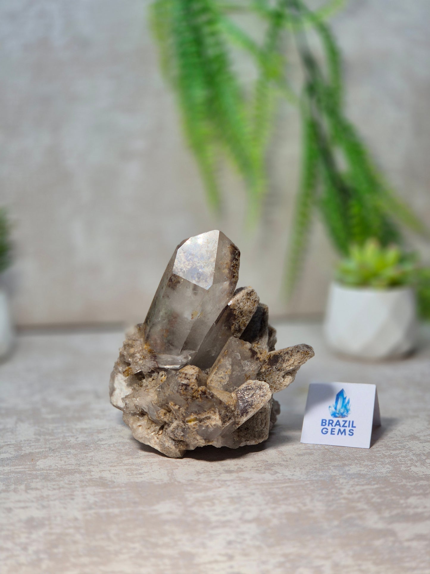 Lodolite Quartz Cluster
