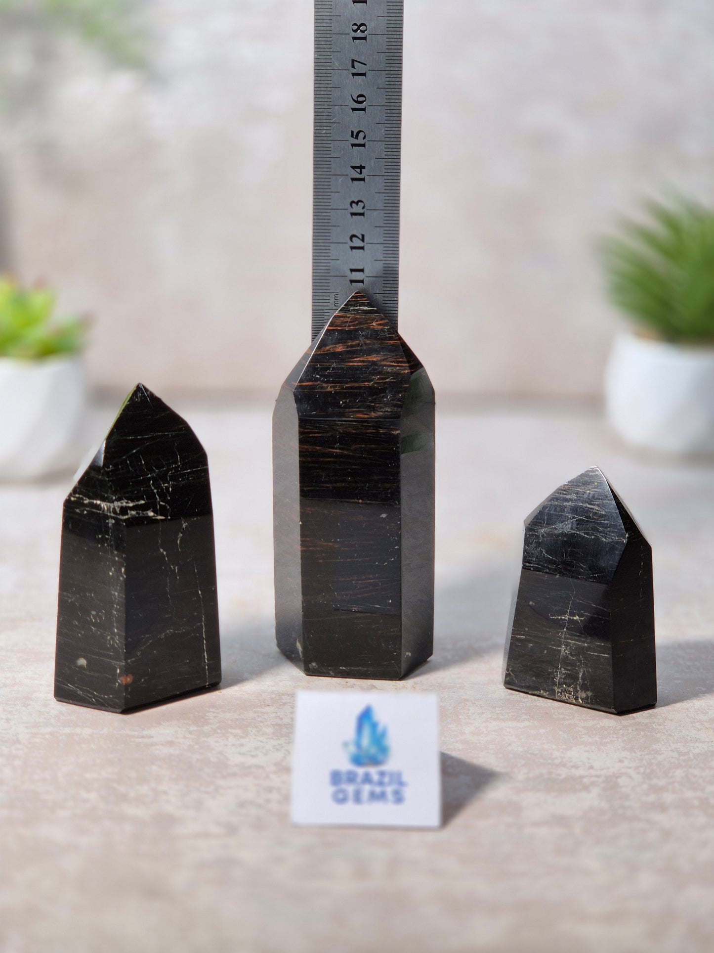 Black Tourmaline with Oxidation Point