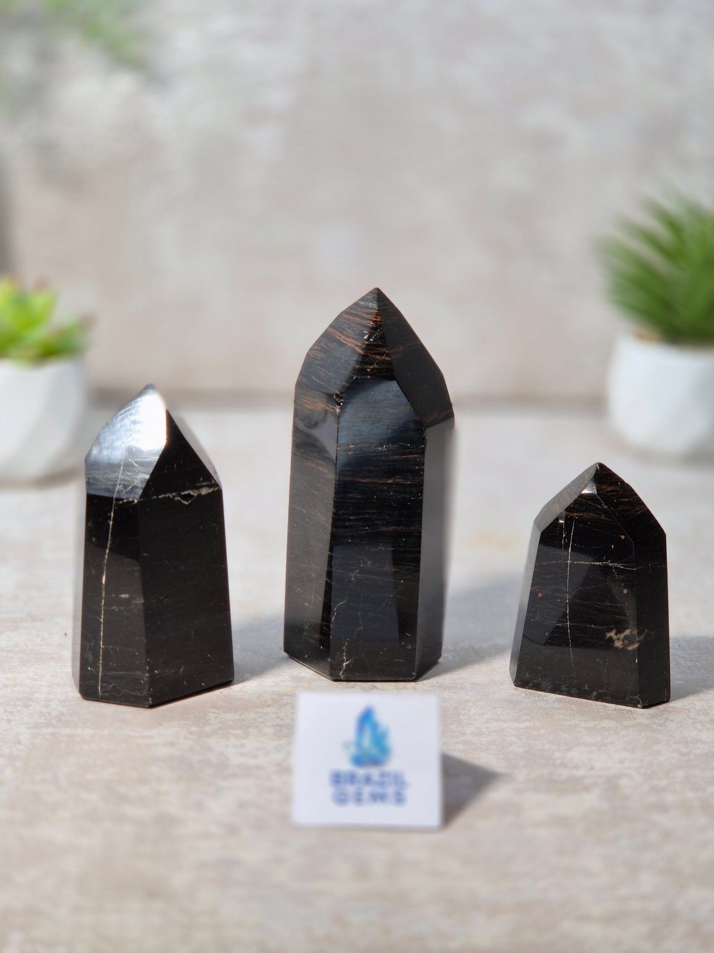Black Tourmaline with Oxidation Point
