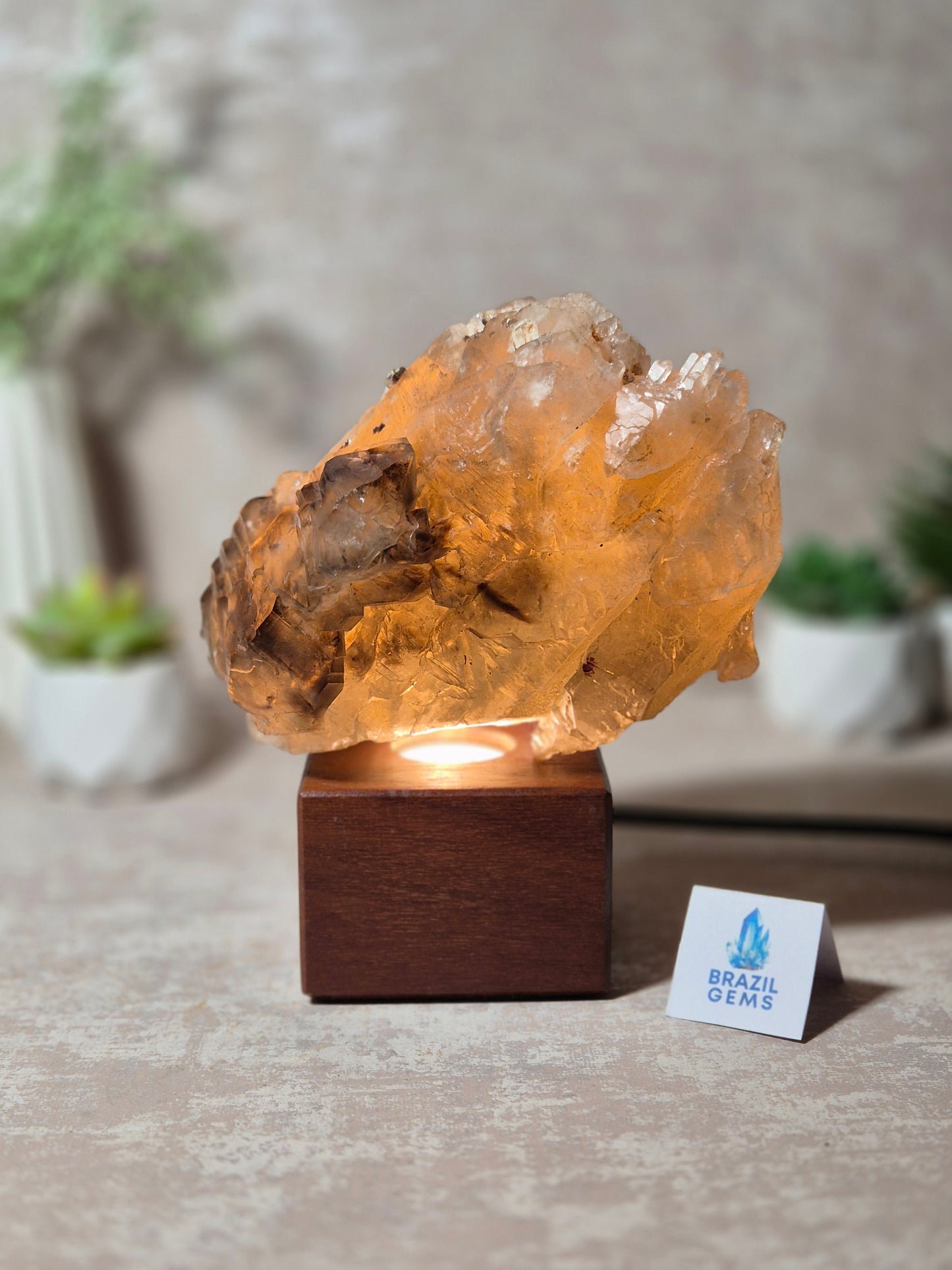 Citrine and Smoky Quartz Elestial