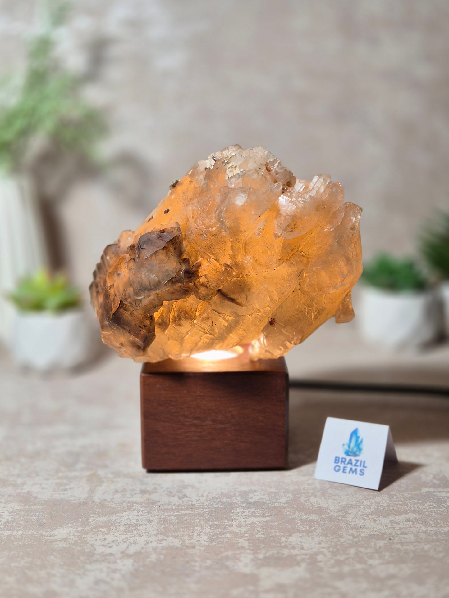 Citrine and Smoky Quartz Elestial