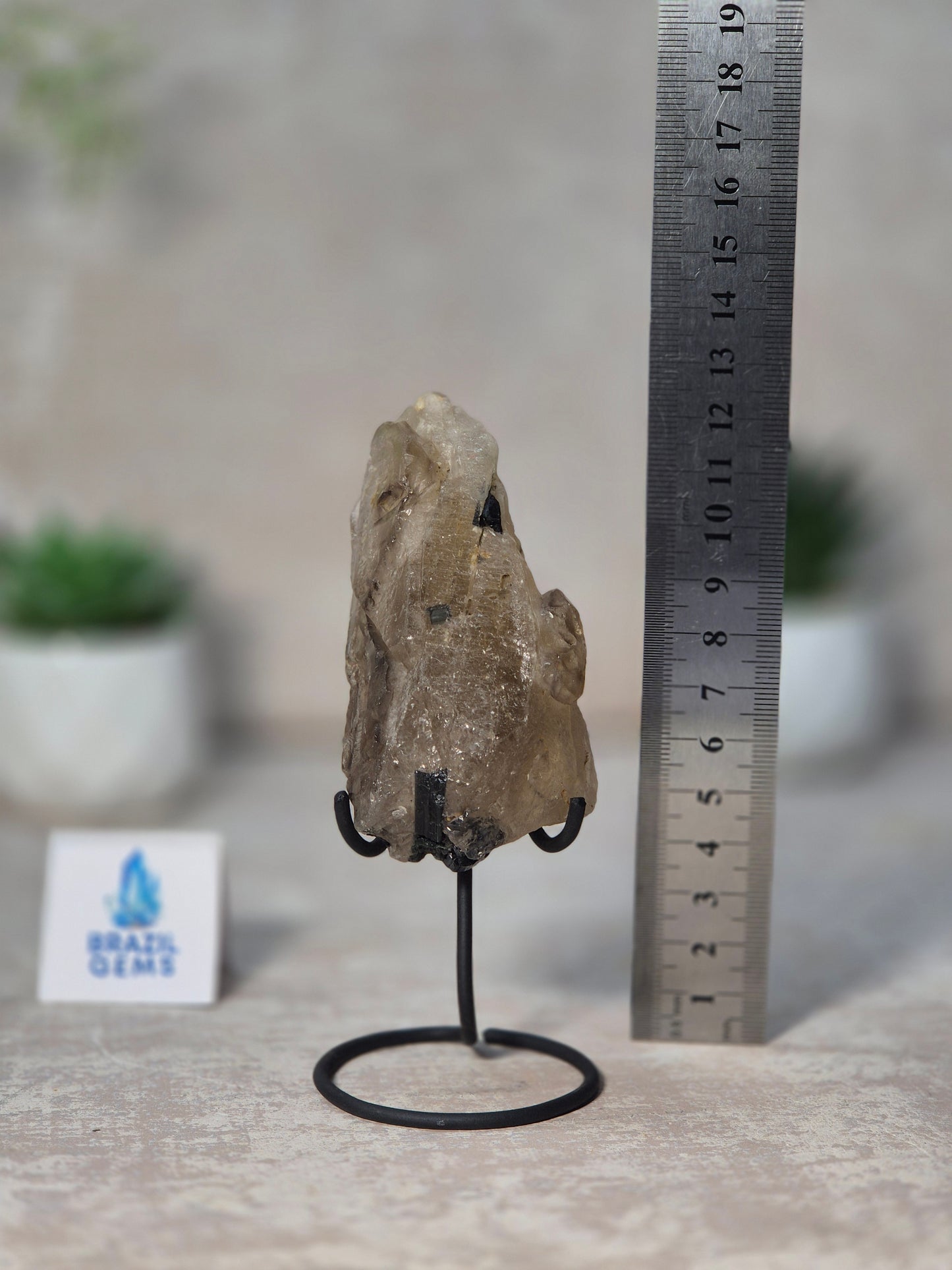 Smoky Quartz with Black Tourmaline Cathedral on stand
