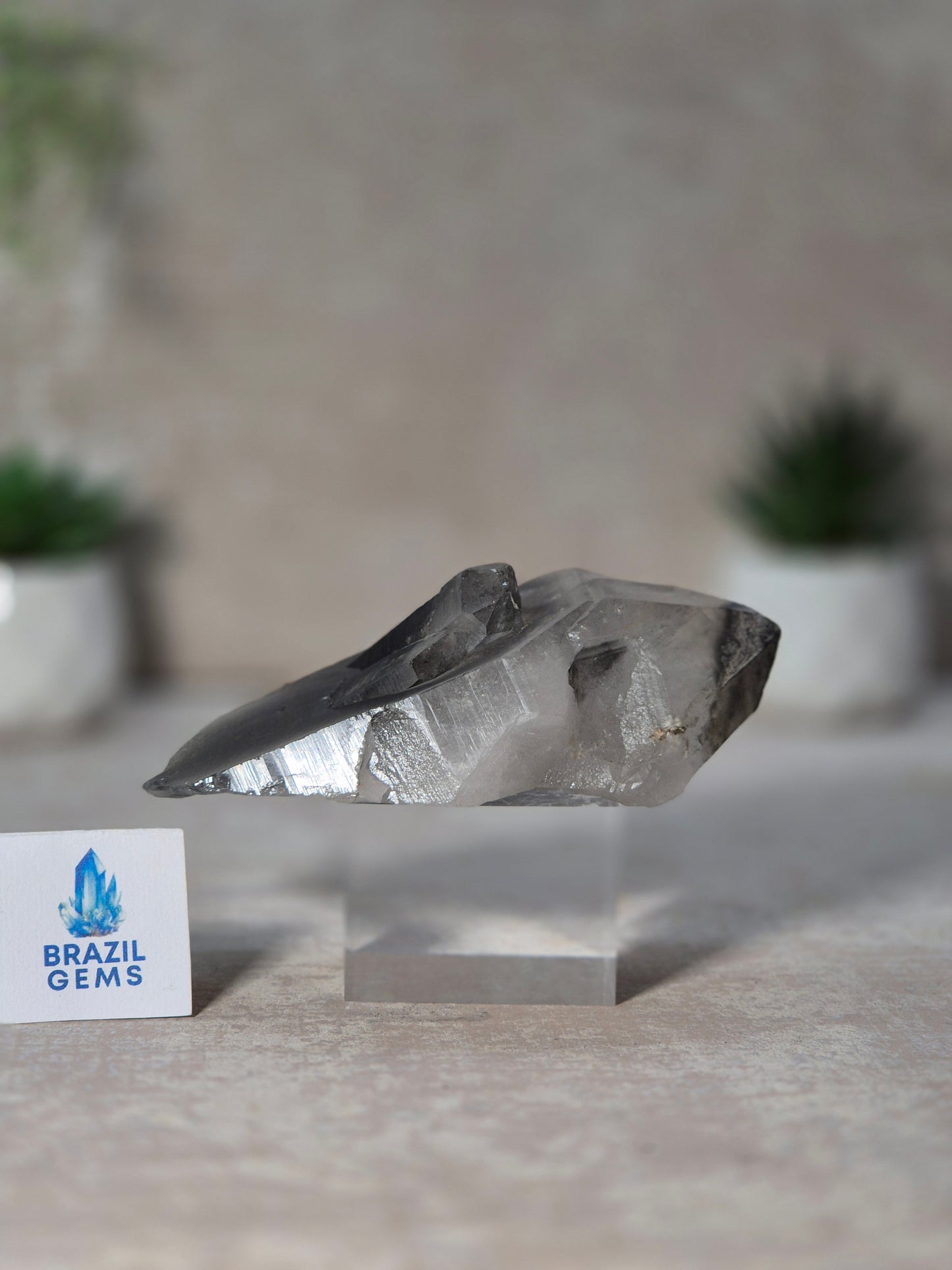 Black Phantom Lemurian Quartz