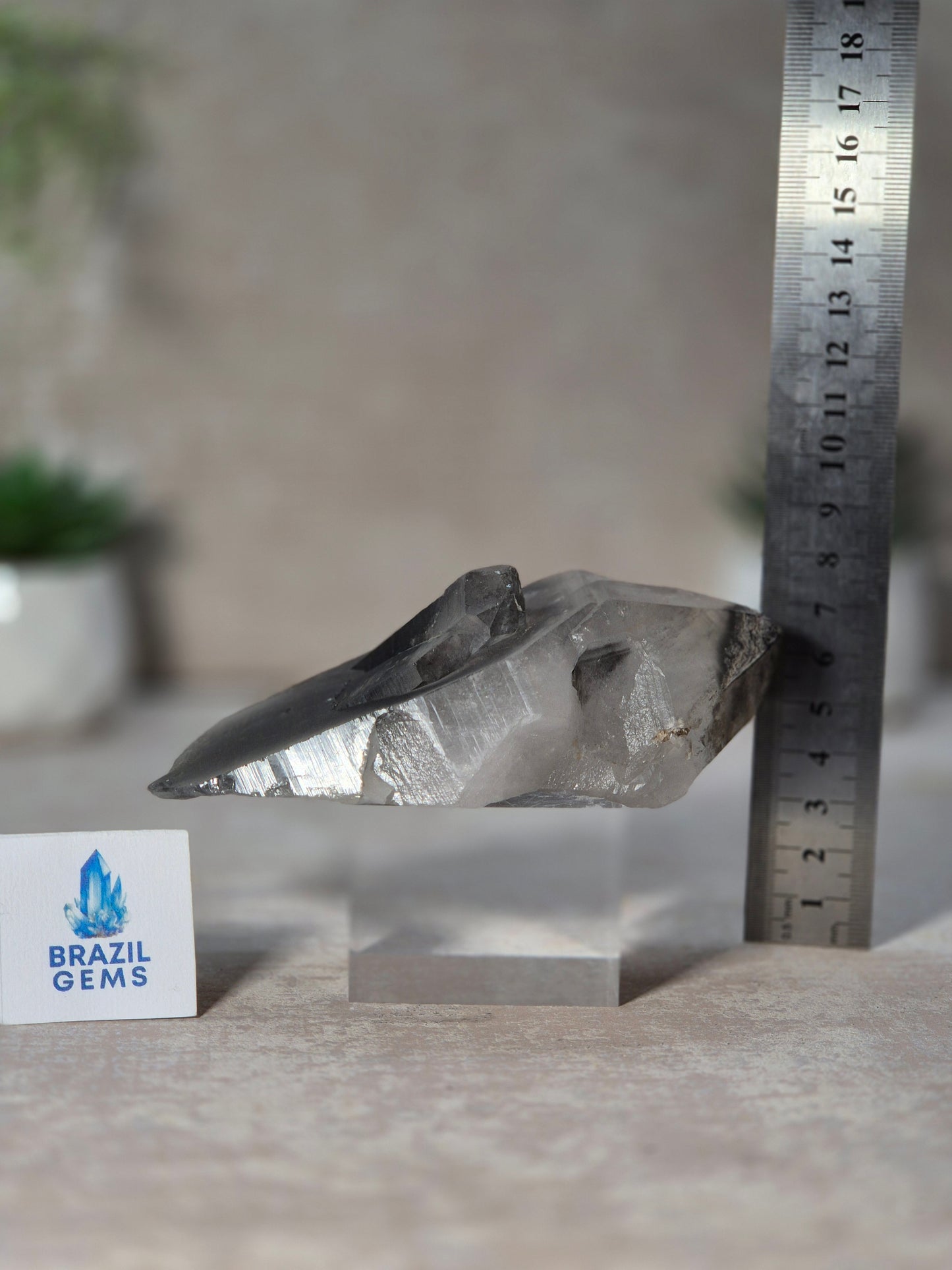 Black Phantom Lemurian Quartz