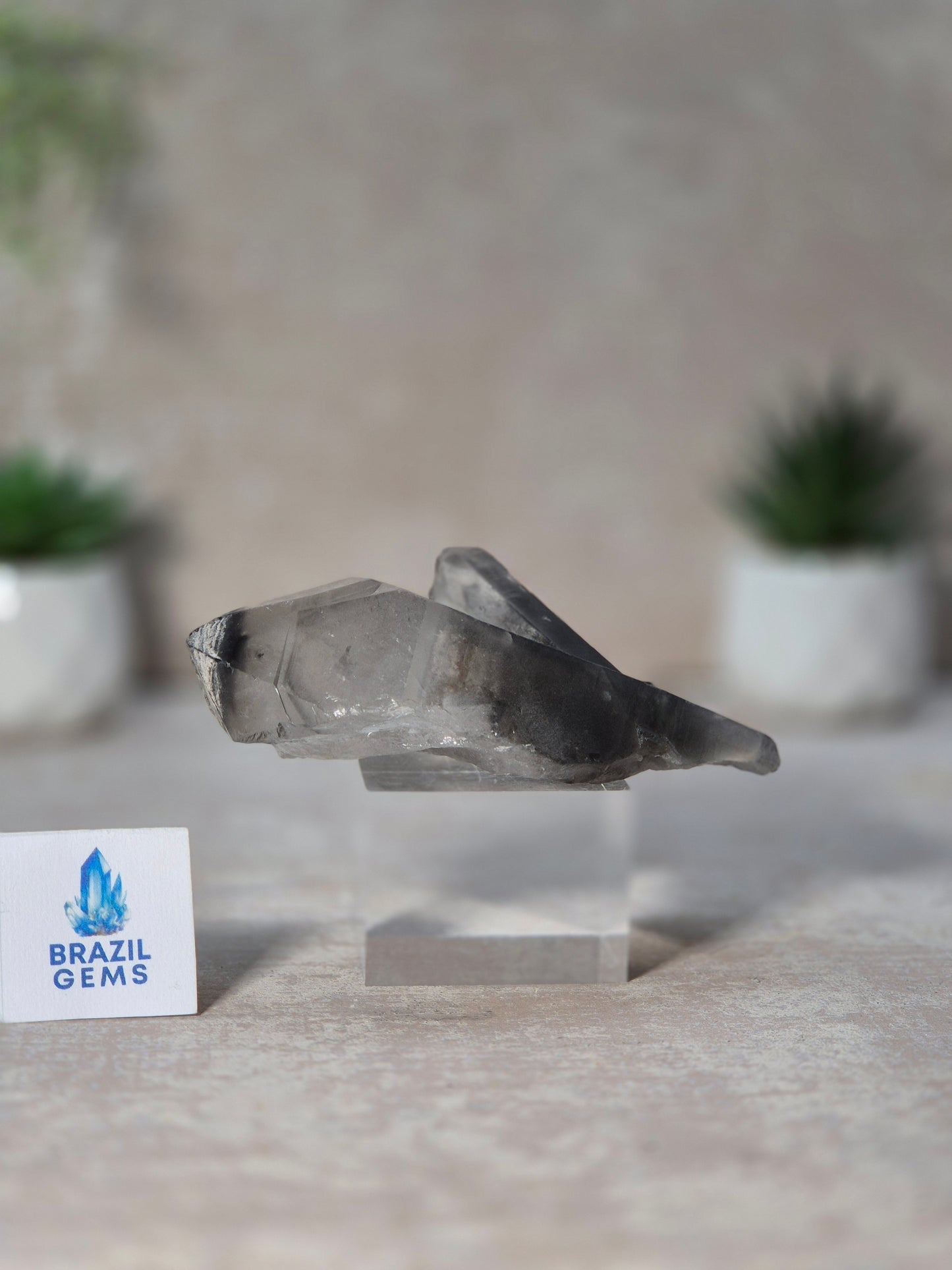 Black Phantom Lemurian Quartz