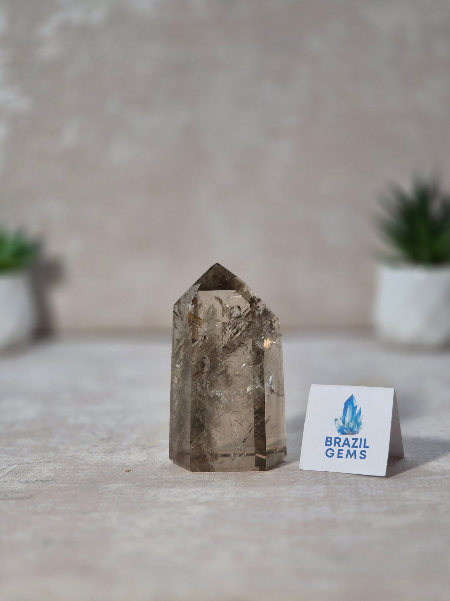 Smoky Quartz with Lodolite Point