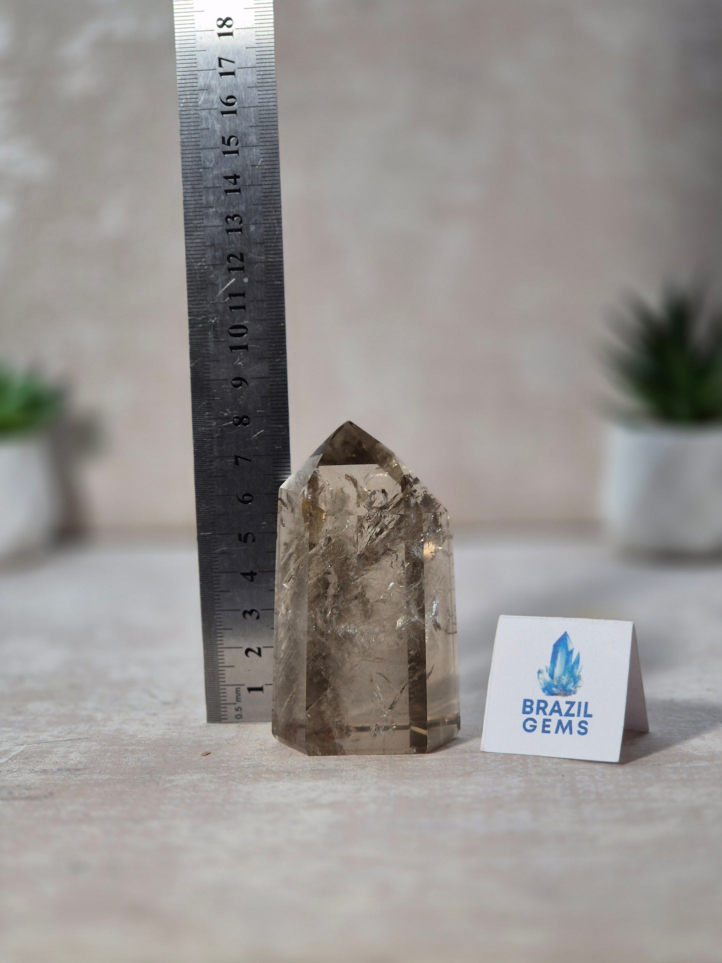 Smoky Quartz with Lodolite Point