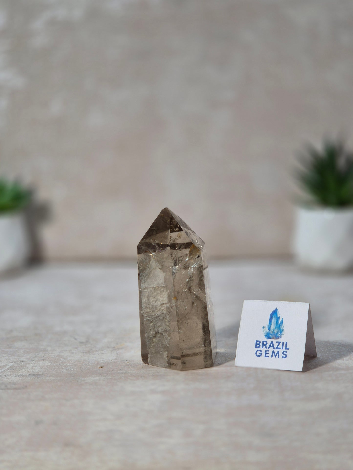 Smoky Quartz with Lodolite Point