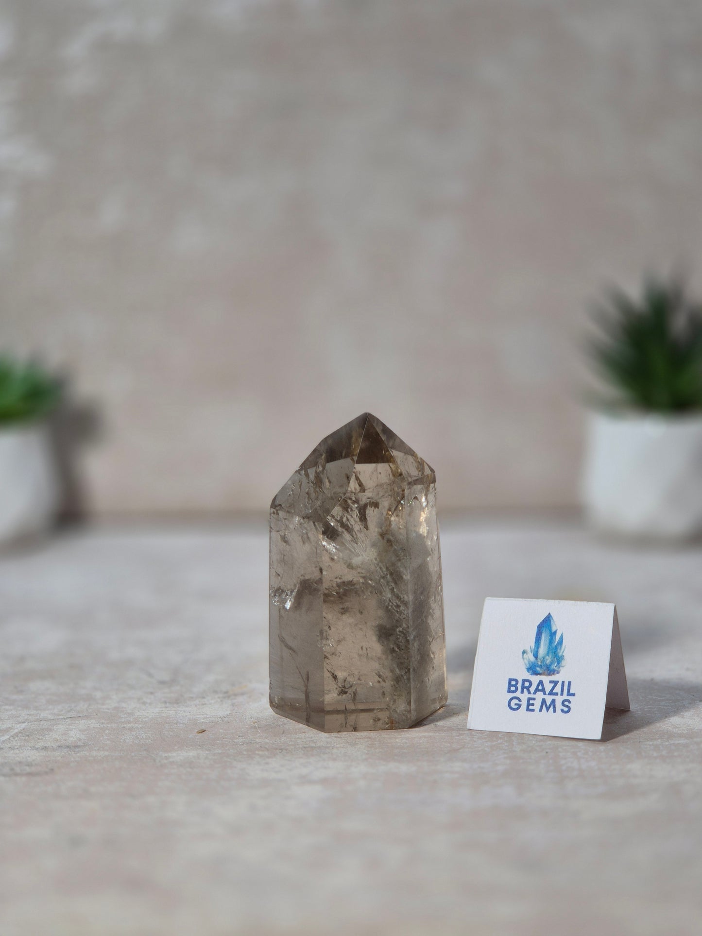 Smoky Quartz with Lodolite Point