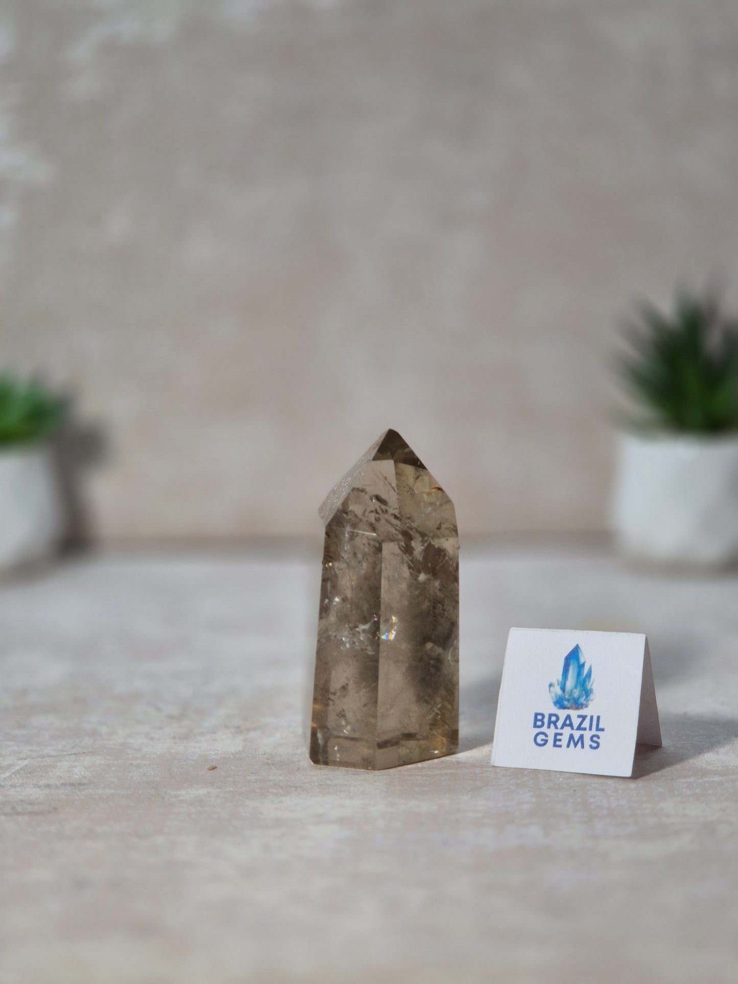 Smoky Quartz with Lodolite Point