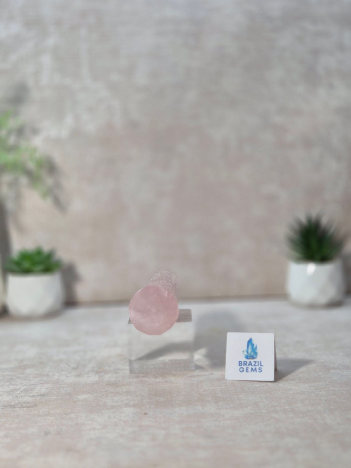Rose Quartz Vogel