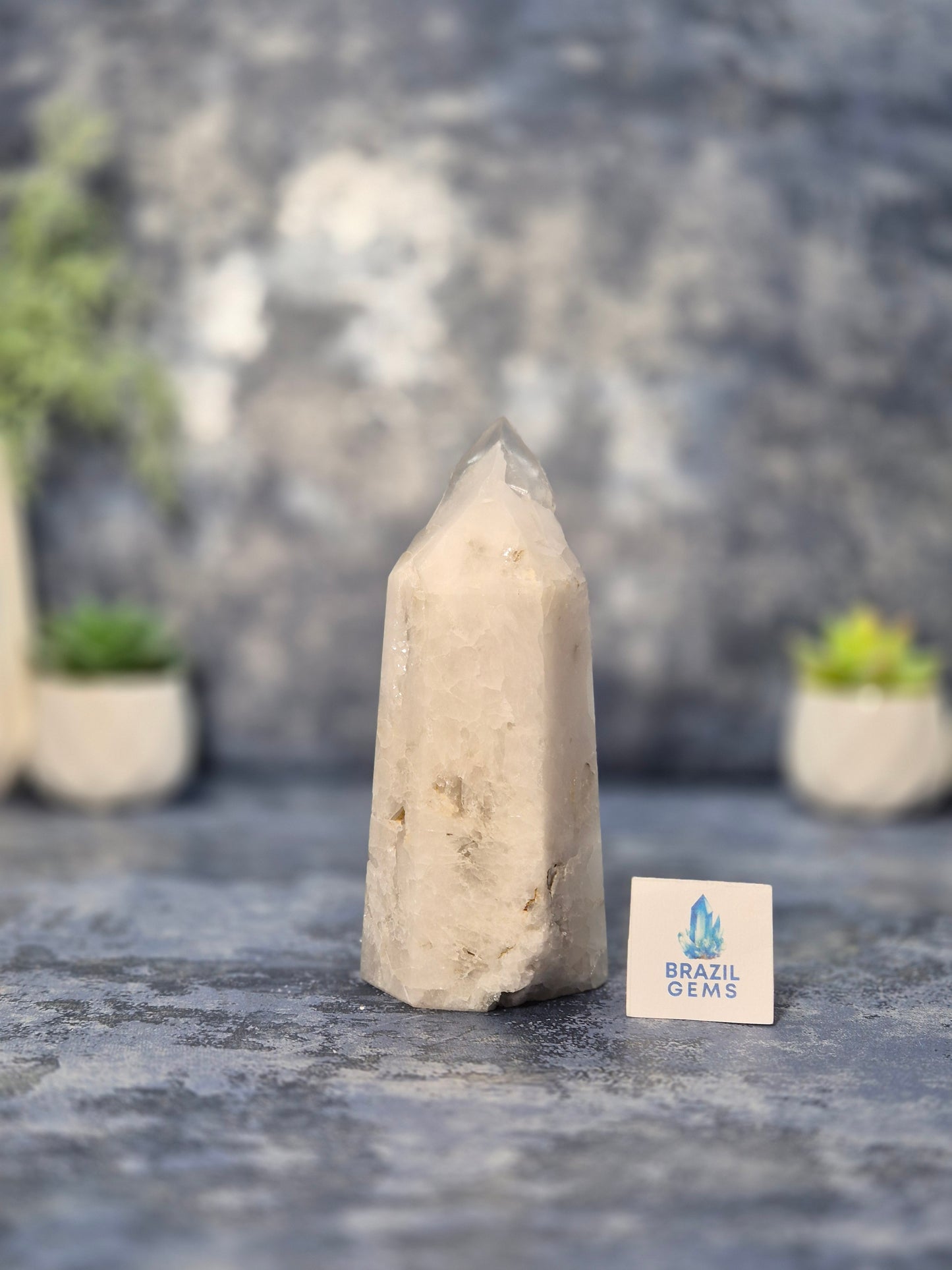Clear Quartz Pointed Cluster