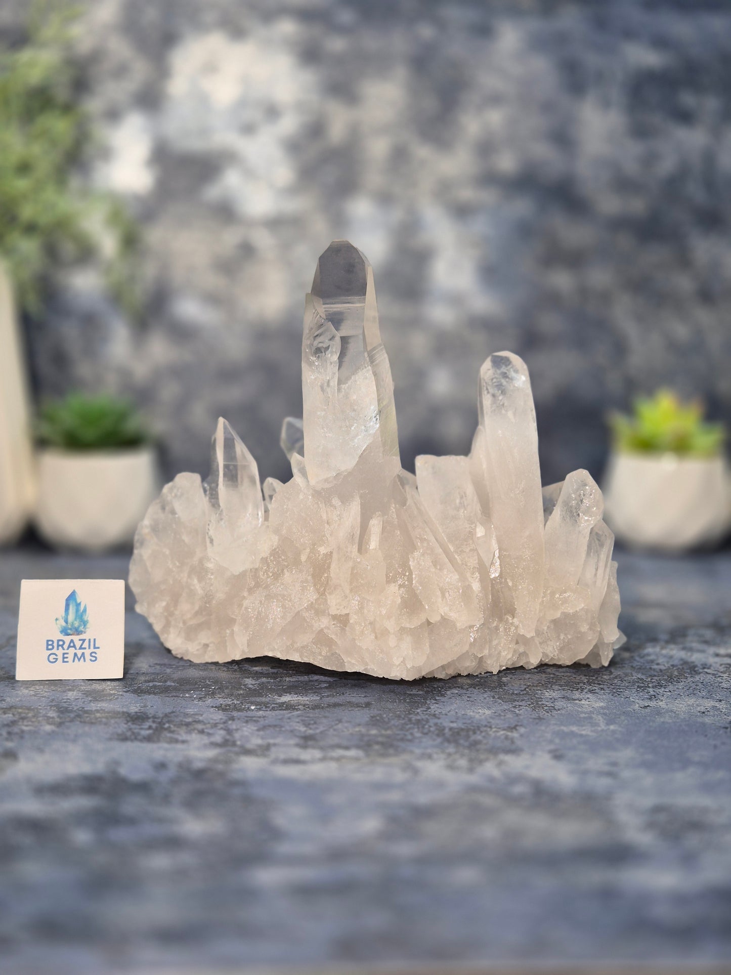 Lemurian Quartz Cluster