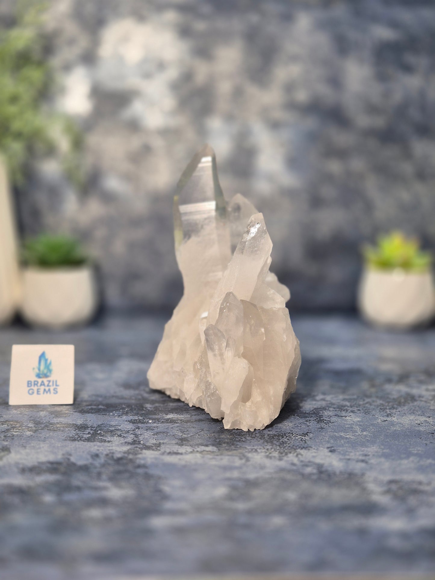 Lemurian Quartz Cluster
