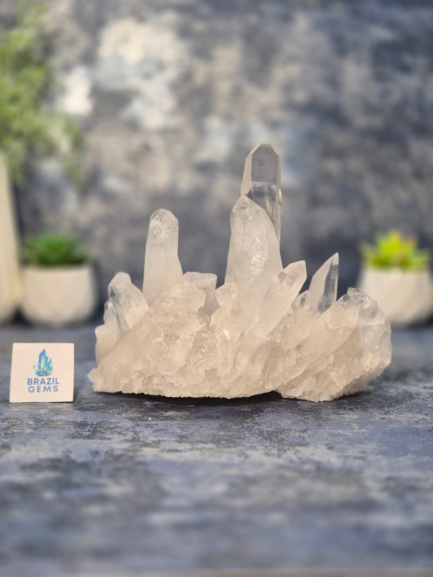Lemurian Quartz Cluster