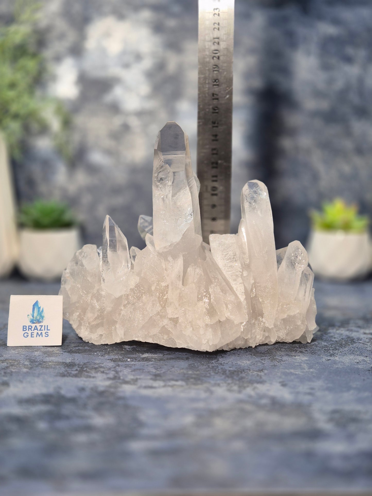 Lemurian Quartz Cluster