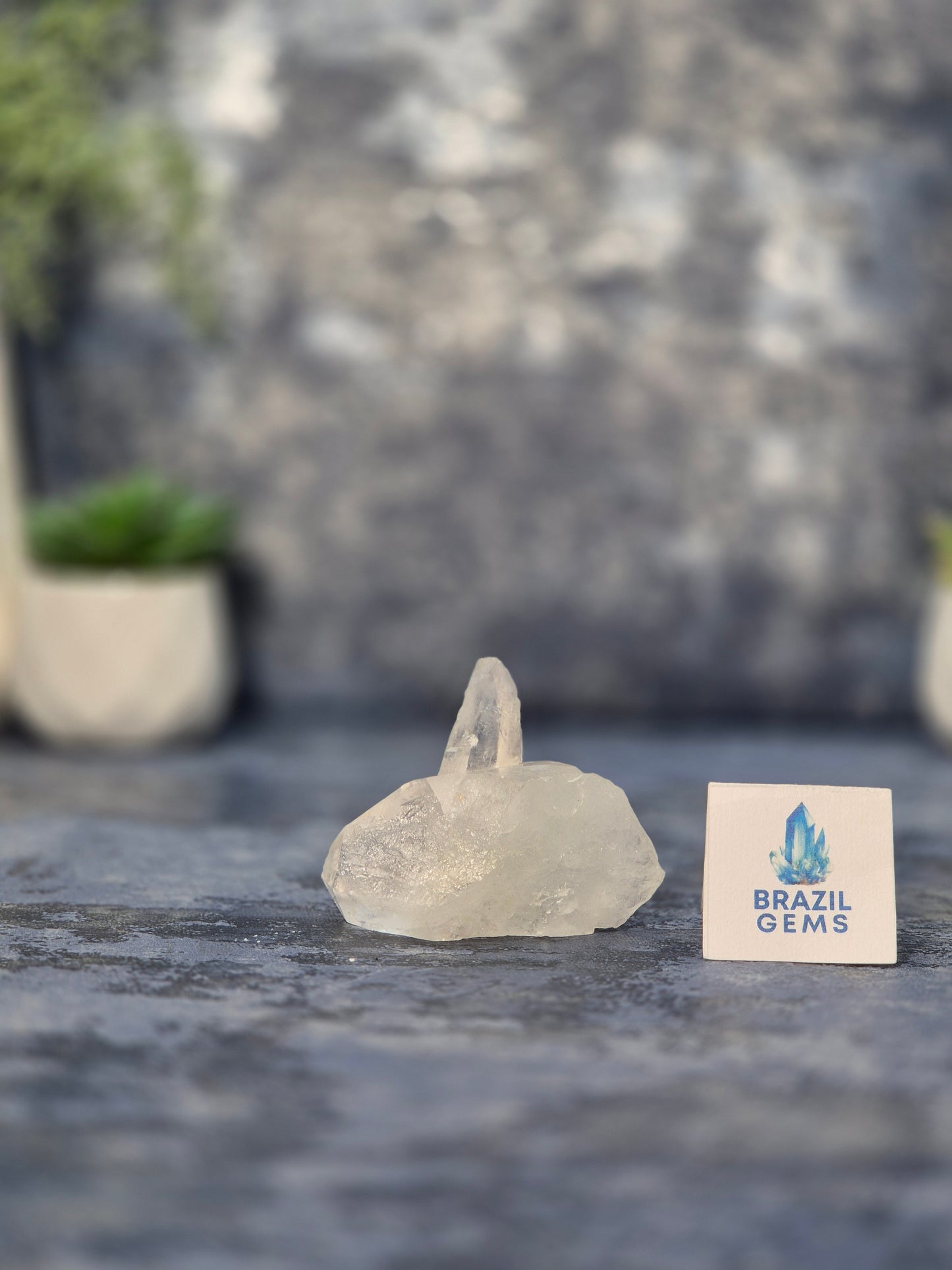 Lemurian Quartz Cluster