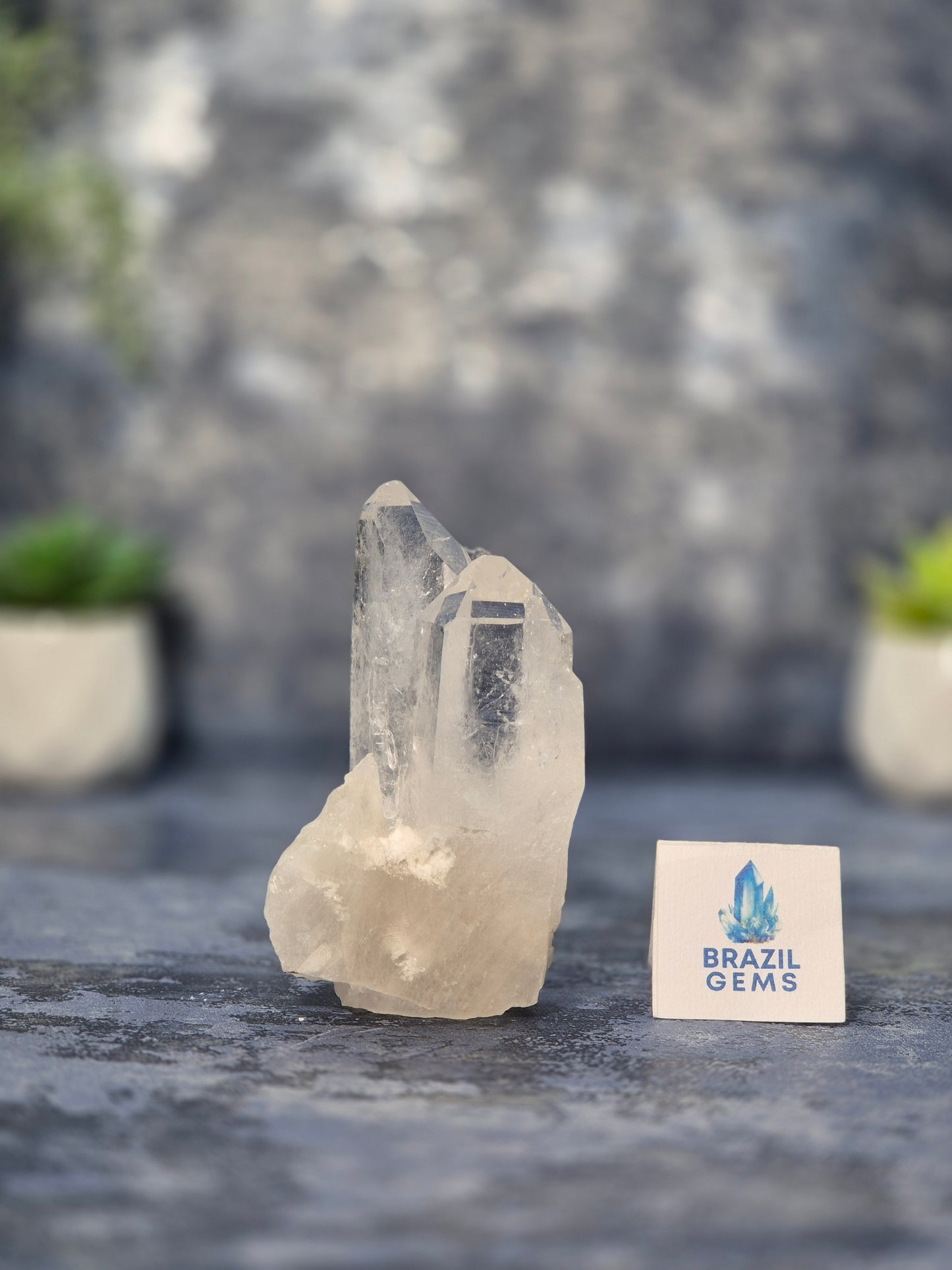 Lemurian Quartz Cluster
