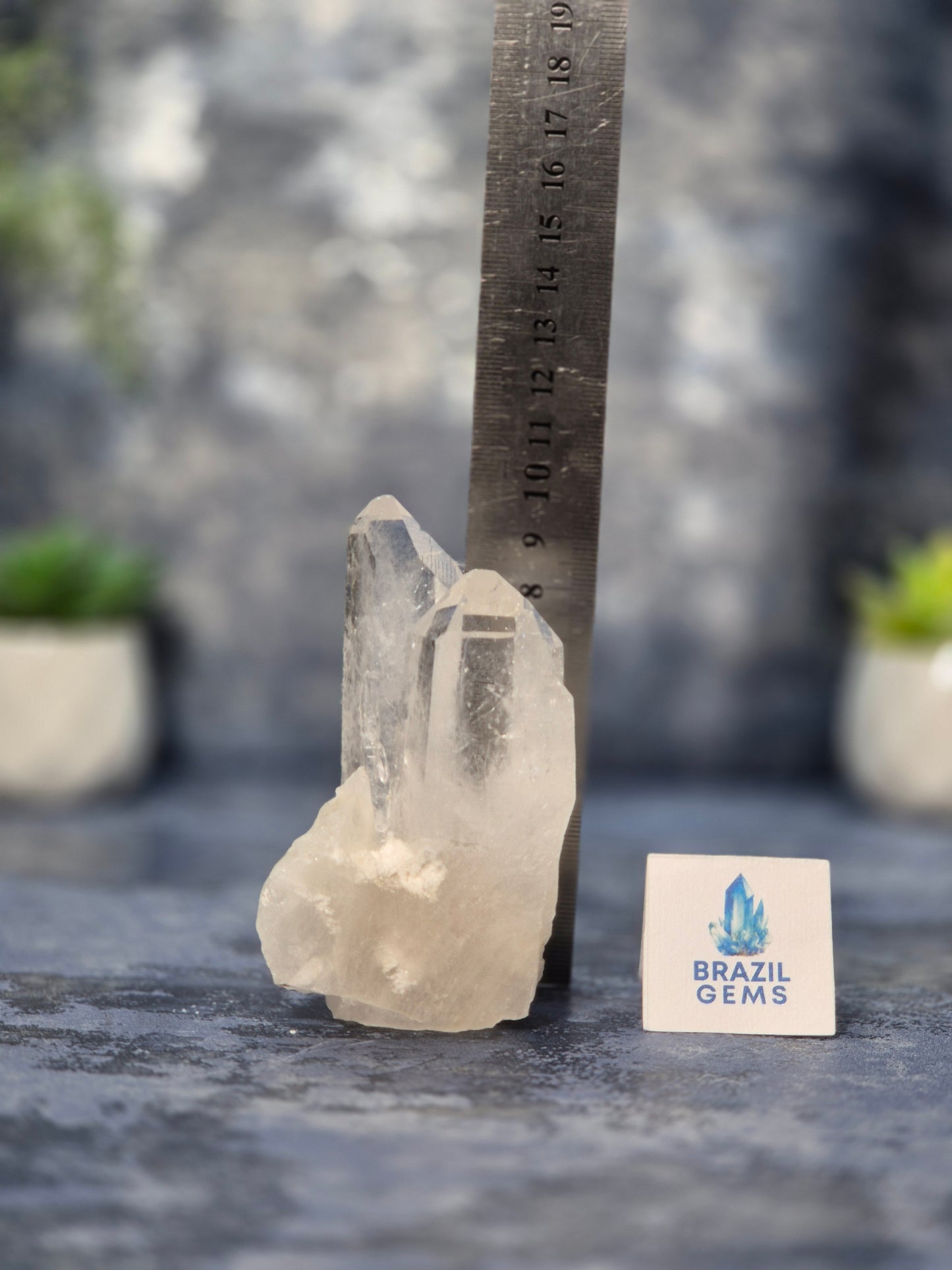 Lemurian Quartz Cluster