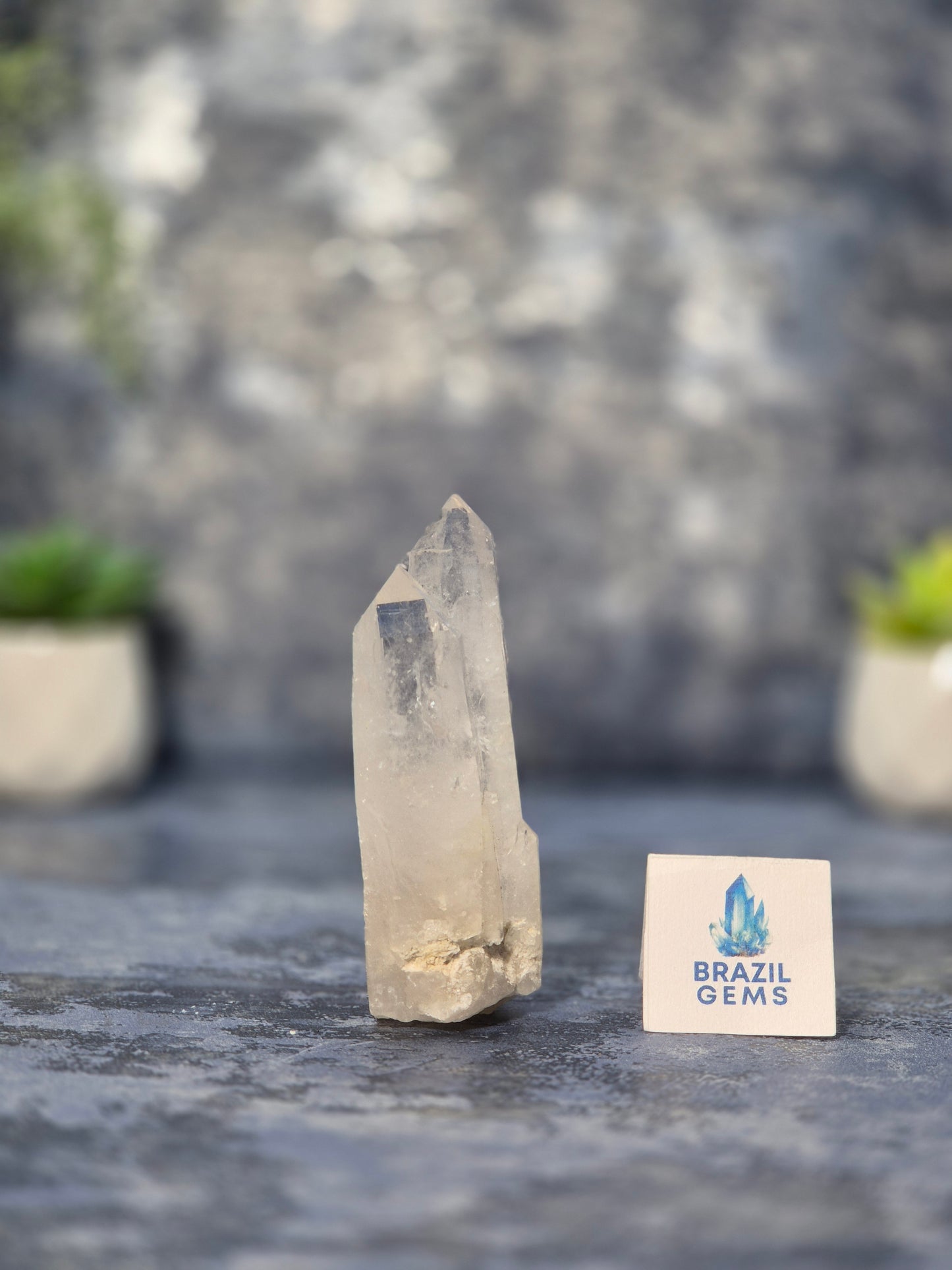 Lemurian Quartz Cluster