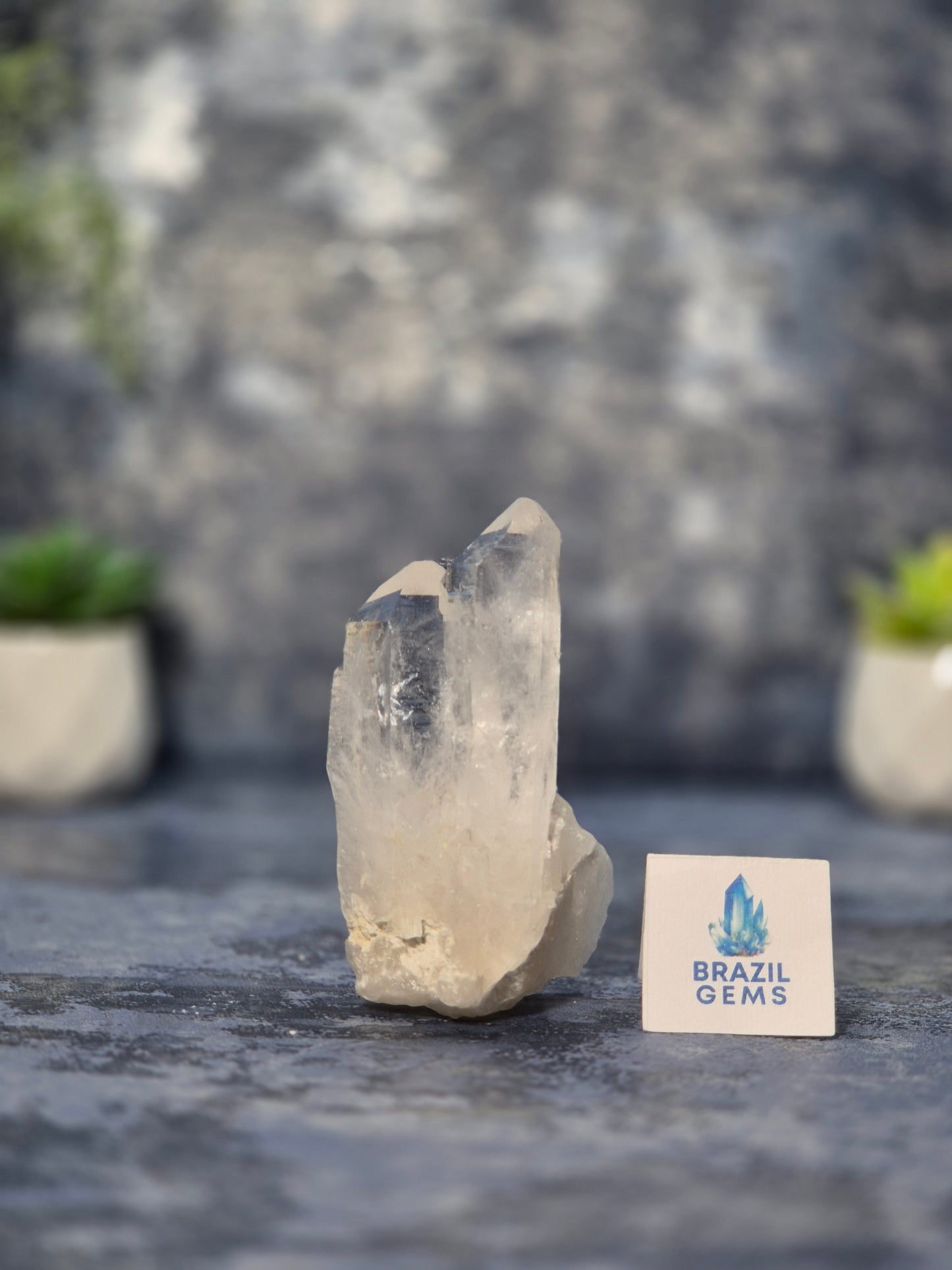 Lemurian Quartz Cluster