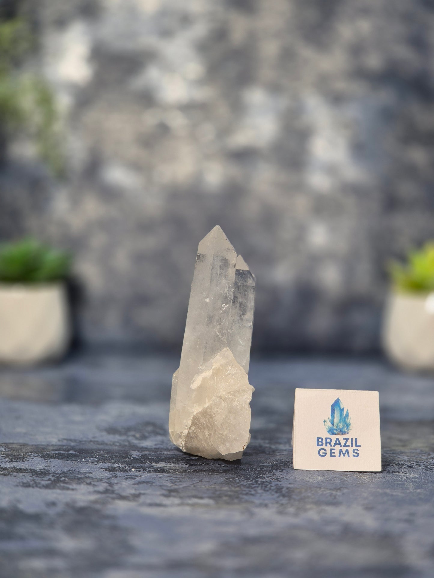 Lemurian Quartz Cluster