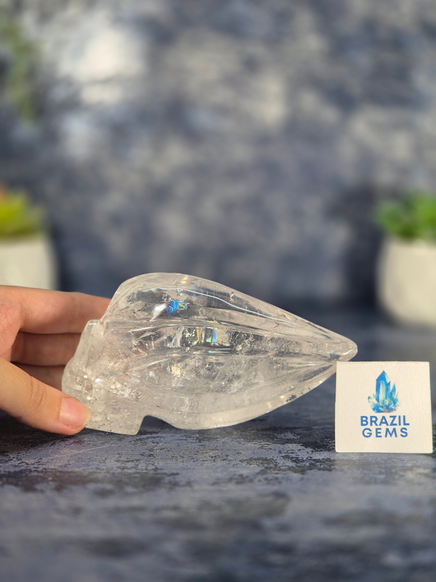 Lemurian Quartz Traveller Skull with Rainbow