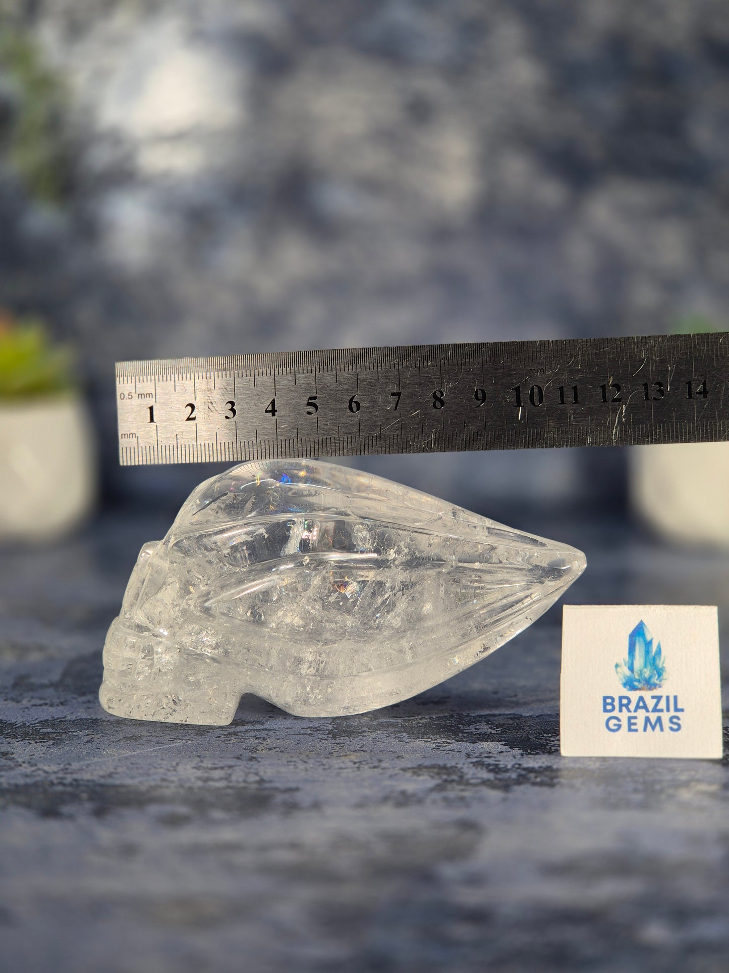 Lemurian Quartz Traveller Skull with Rainbow