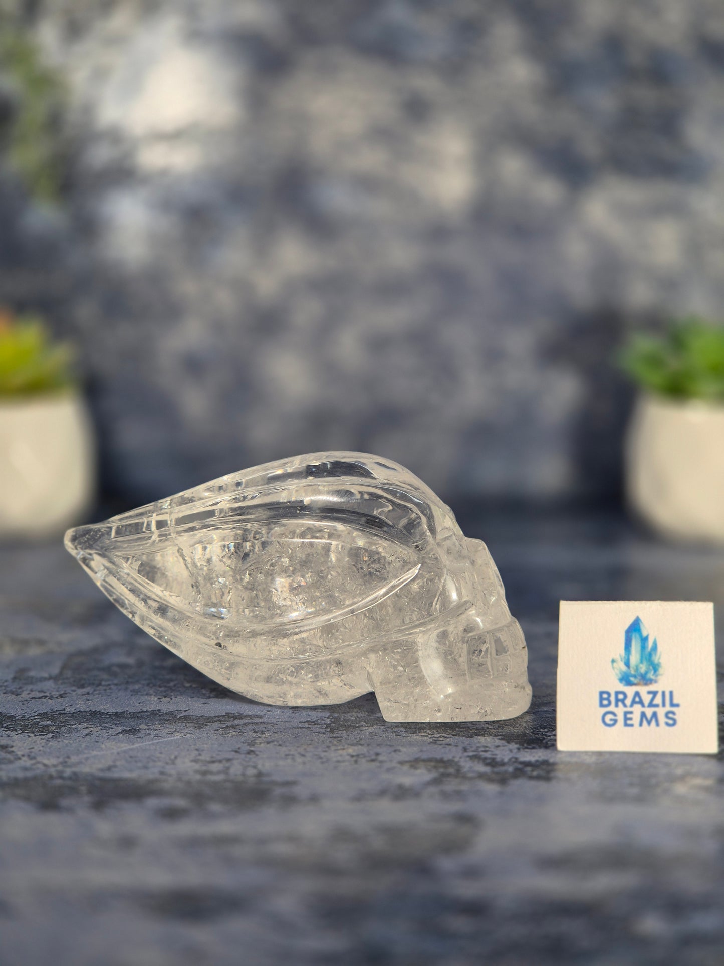 Lemurian Quartz Traveller Skull with Rainbow