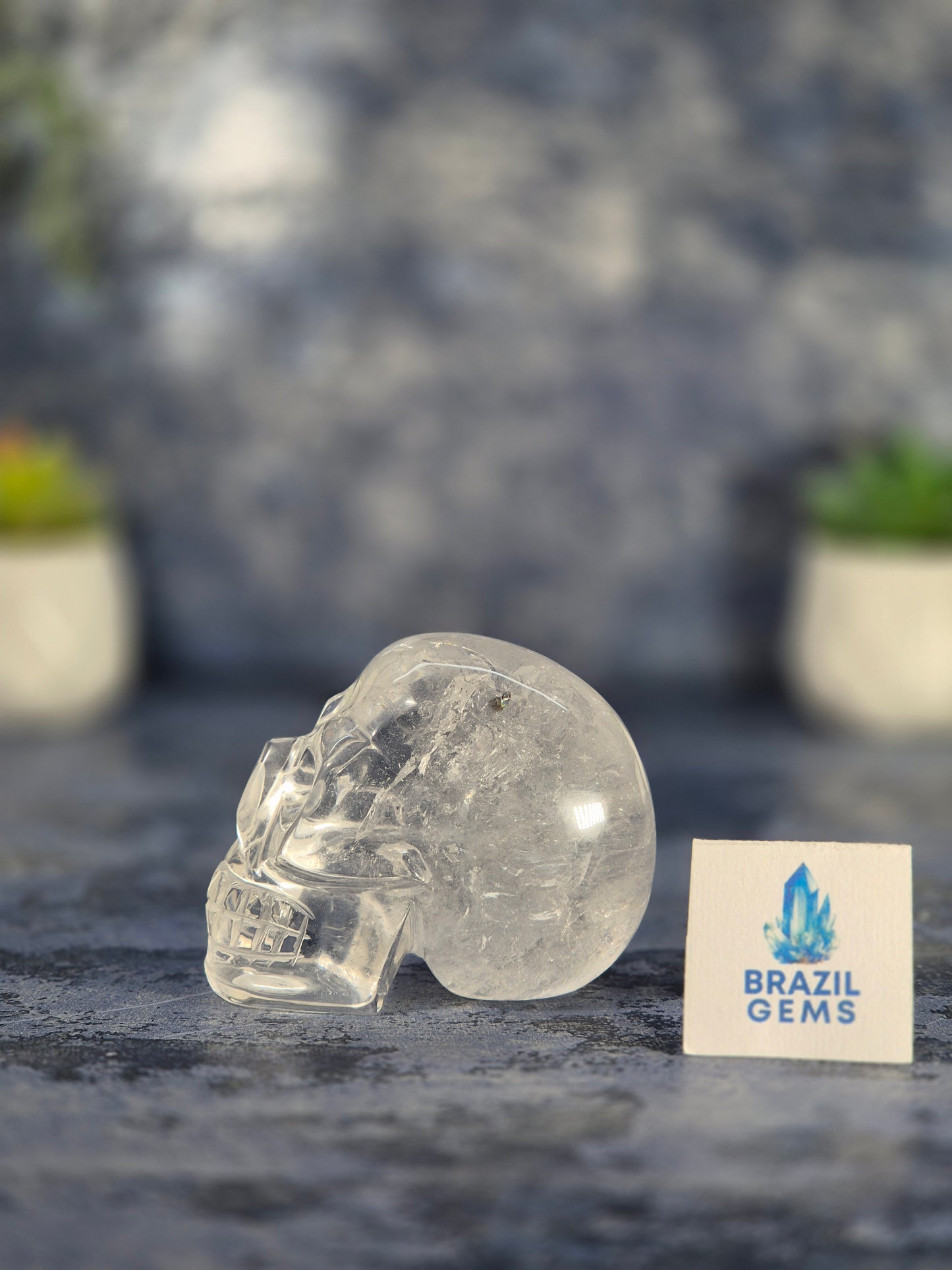 Lemurian Quartz Skull with Rainbow