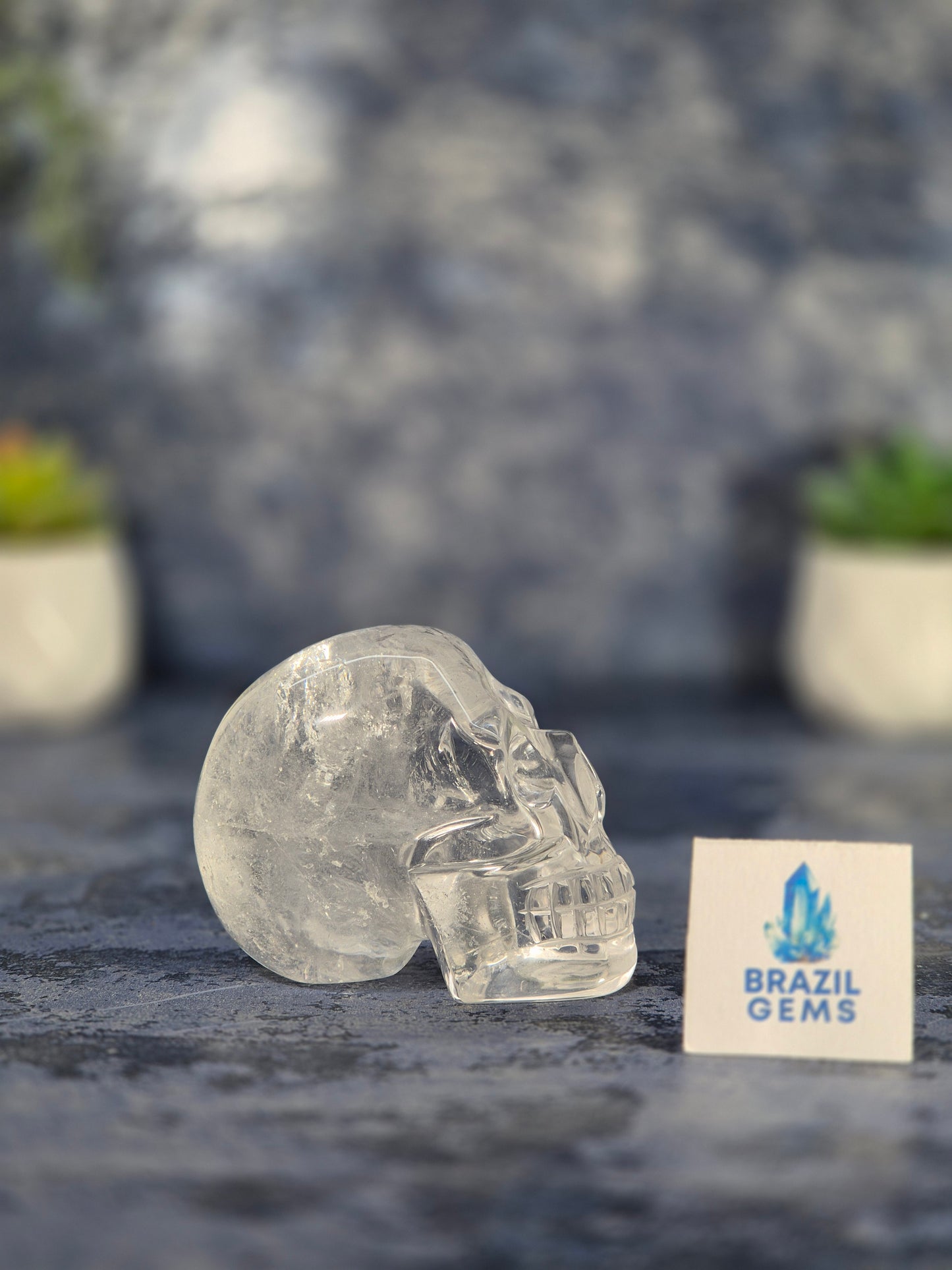 Lemurian Quartz Skull with Rainbow