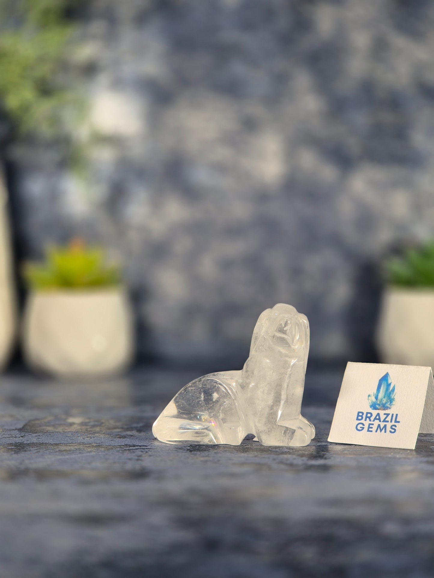 High Grade Clear Quartz Dog