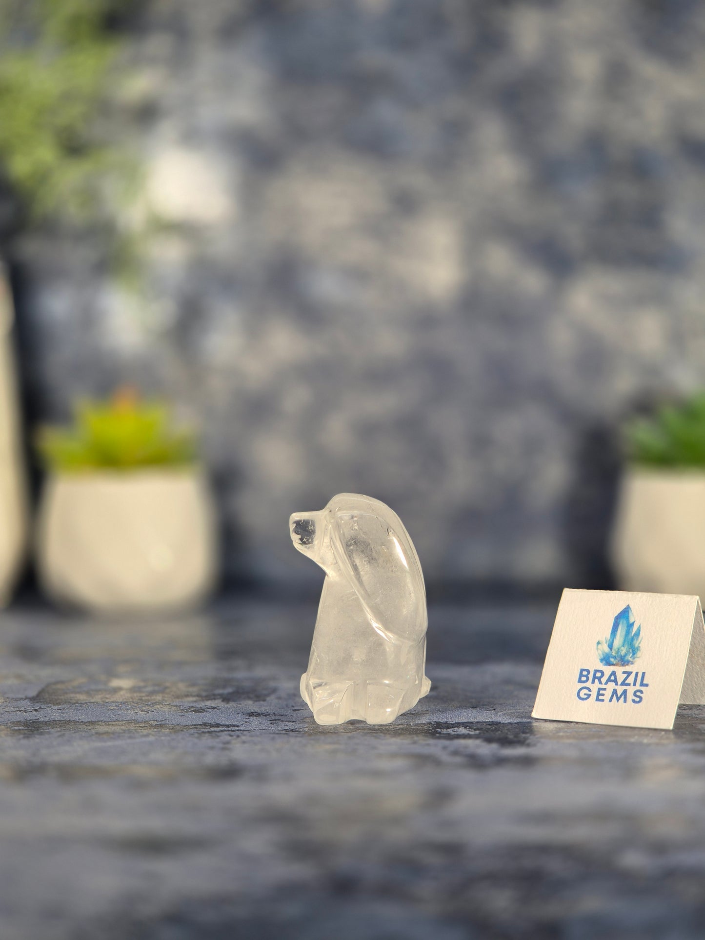 High Grade Clear Quartz Dog