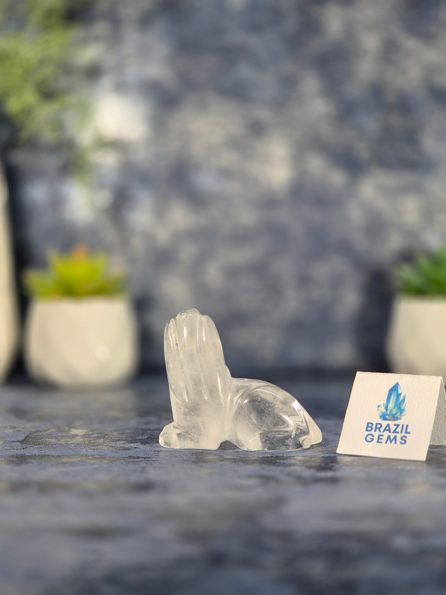 High Grade Clear Quartz Dog