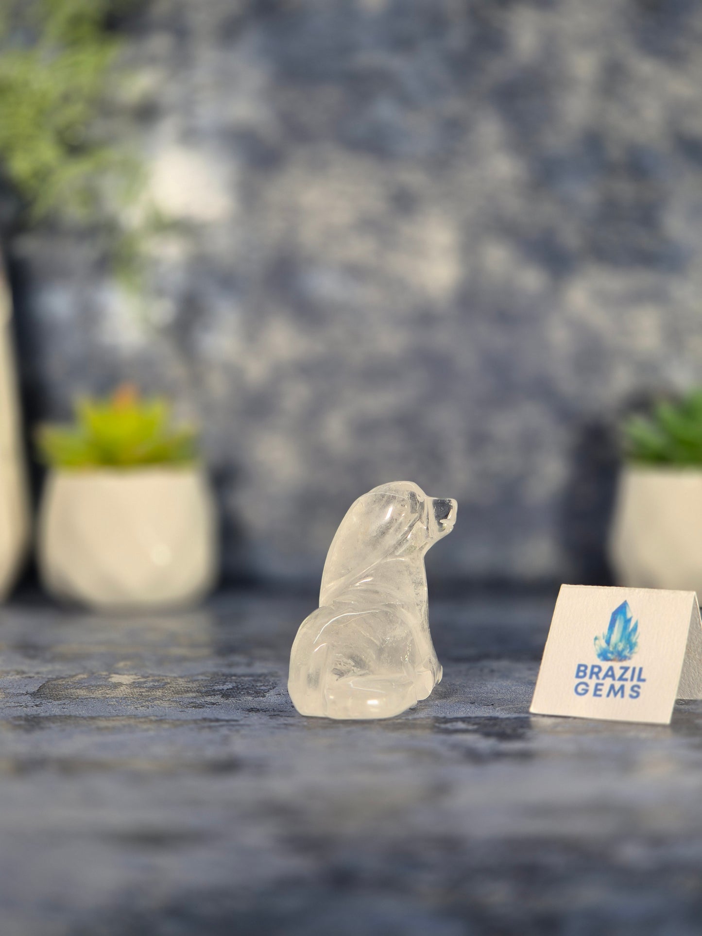 High Grade Clear Quartz Dog