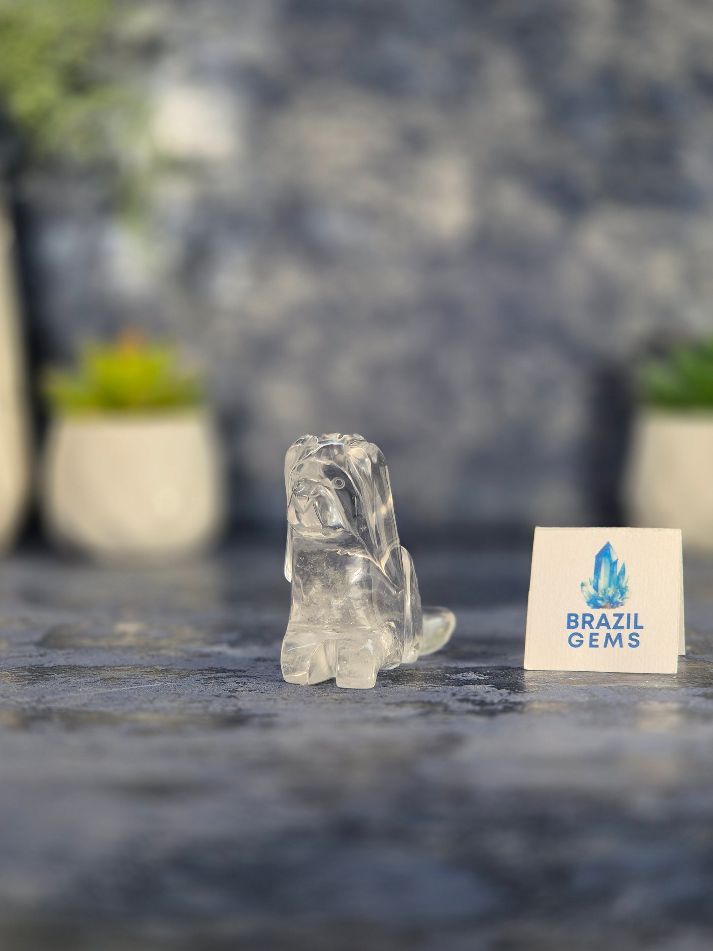 High Grade Clear Quartz Dog