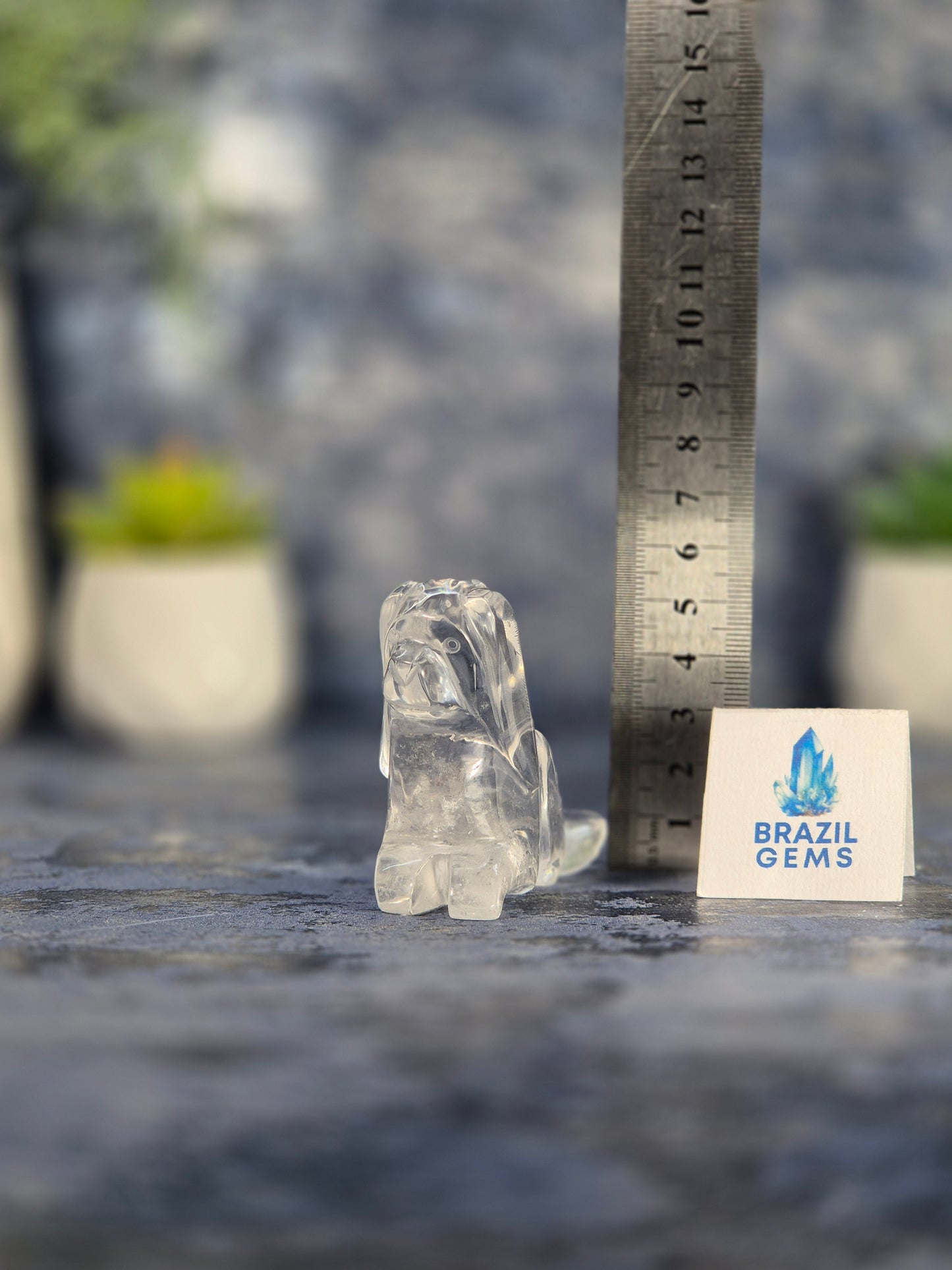 High Grade Clear Quartz Dog