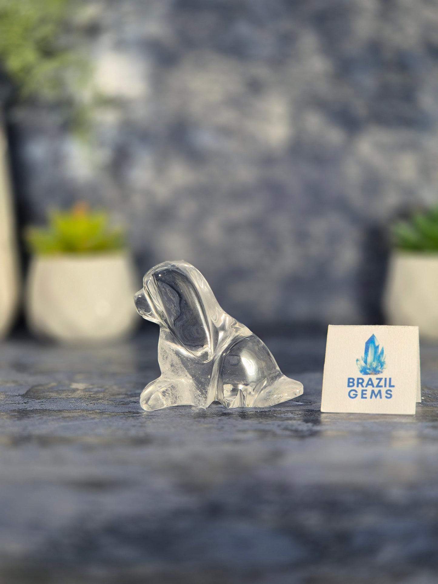 High Grade Clear Quartz Dog
