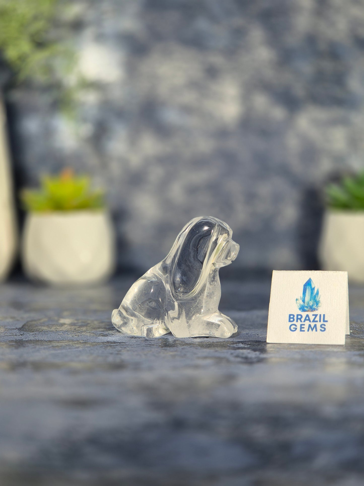 High Grade Clear Quartz Dog