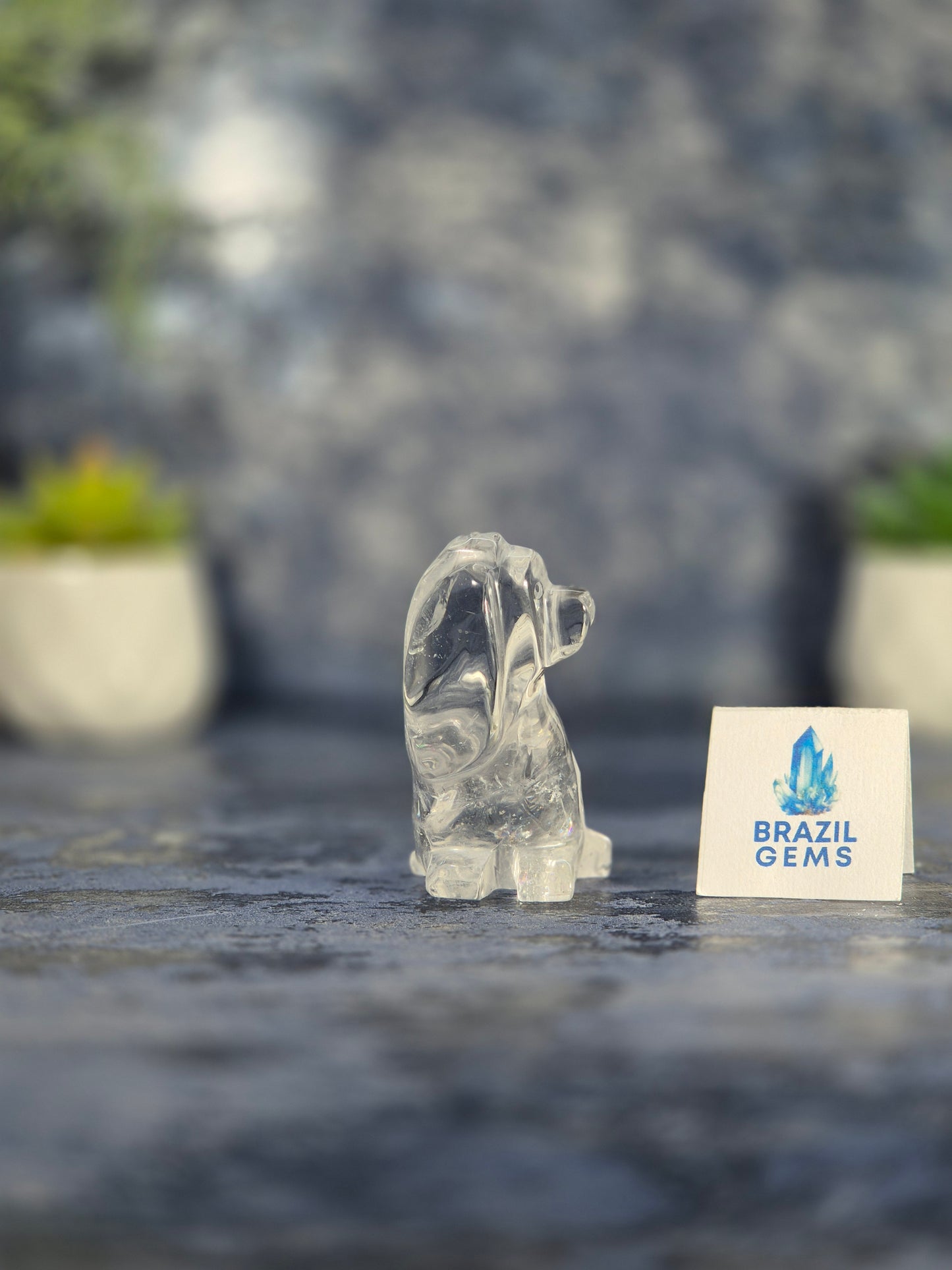 High Grade Clear Quartz Dog