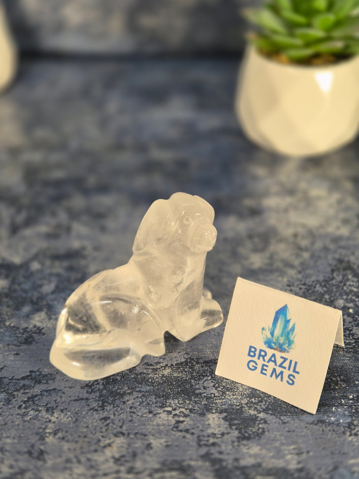 High Grade Clear Quartz Dog