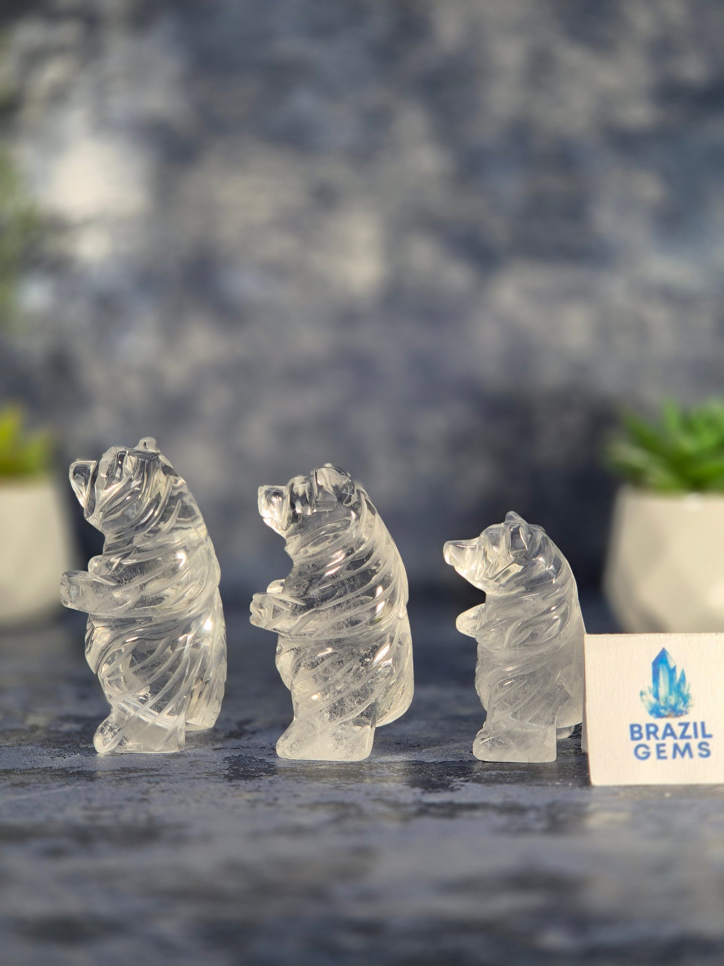High Grade Clear Quartz Bear