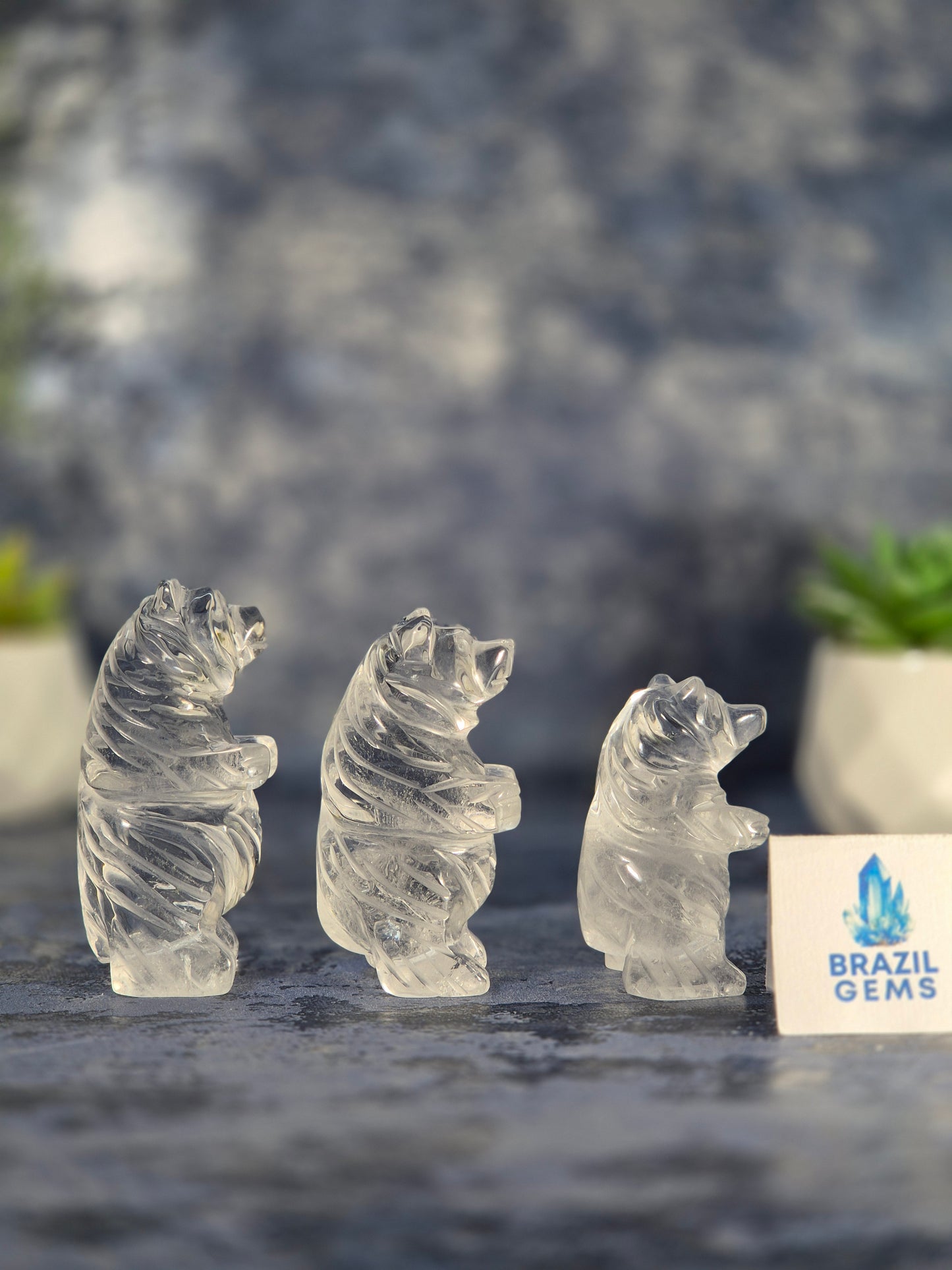 High Grade Clear Quartz Bear