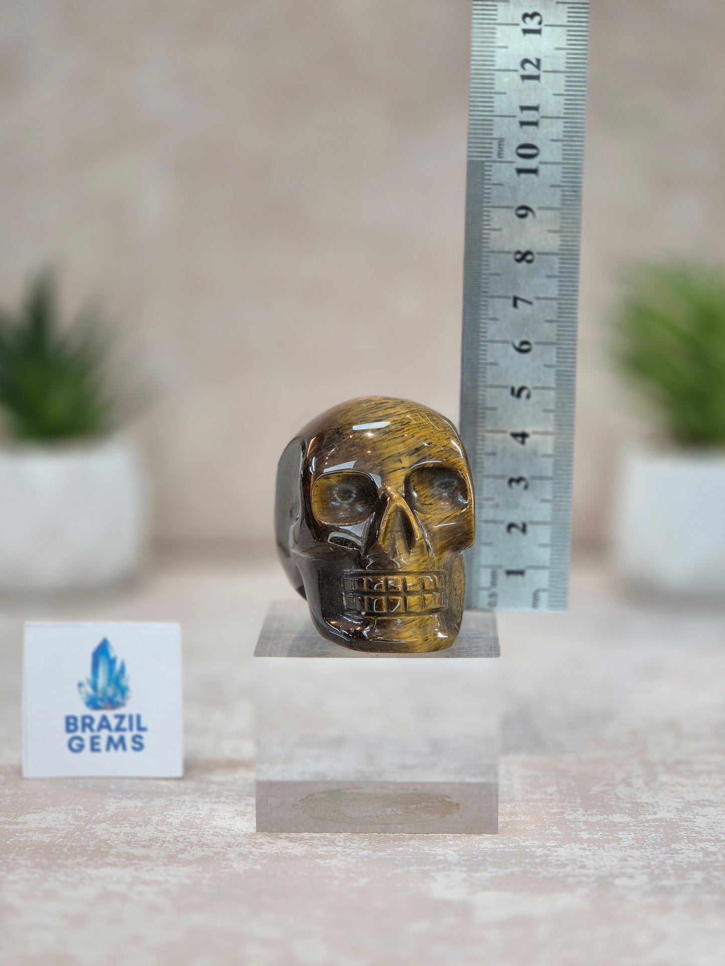 Tiger's Eye Mini Skull