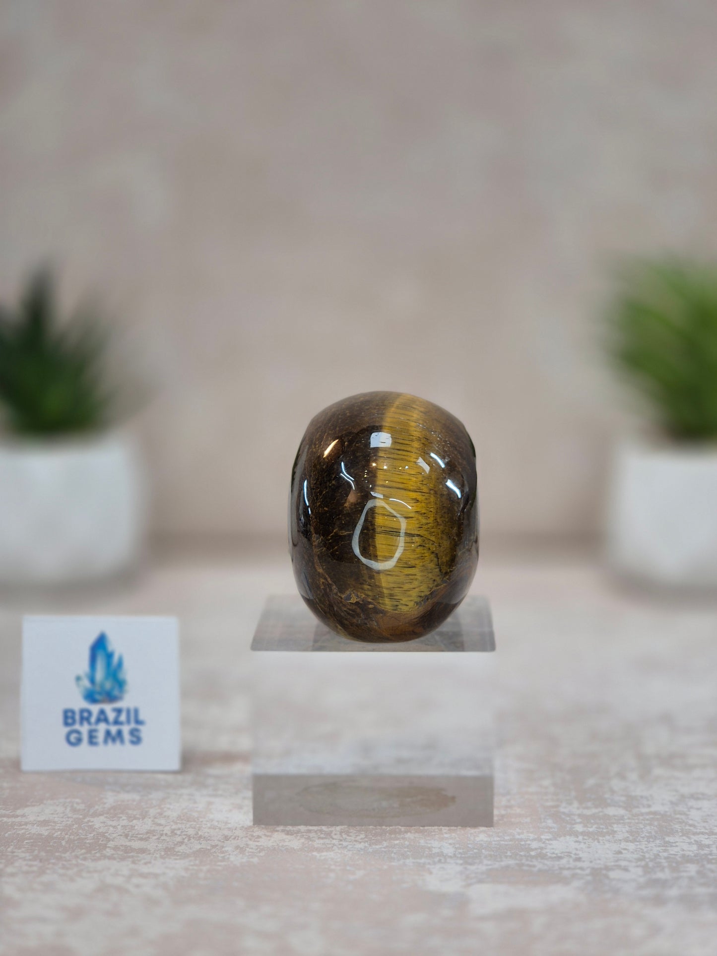 Tiger's Eye Mini Skull