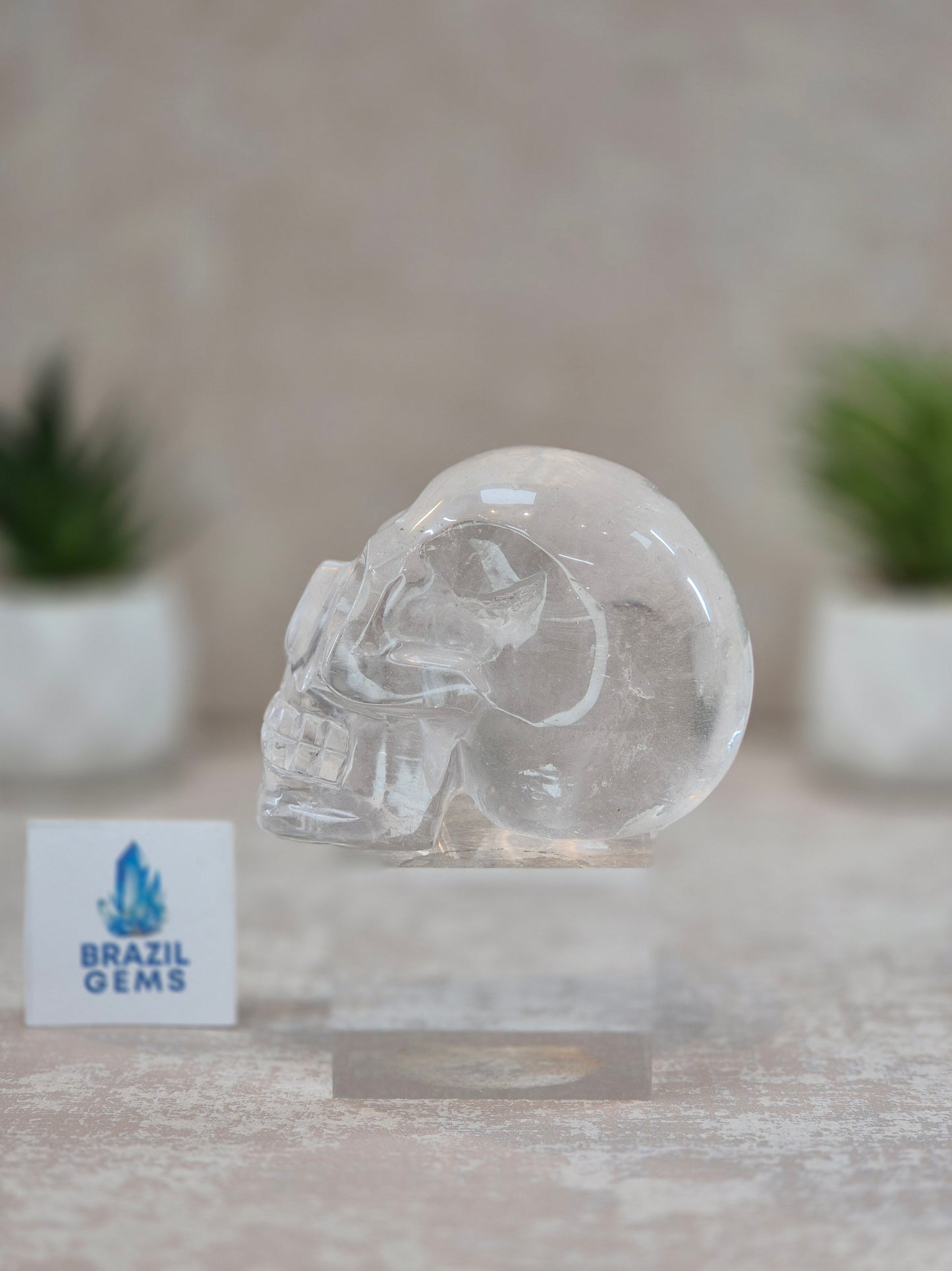 Clear Quartz Skull