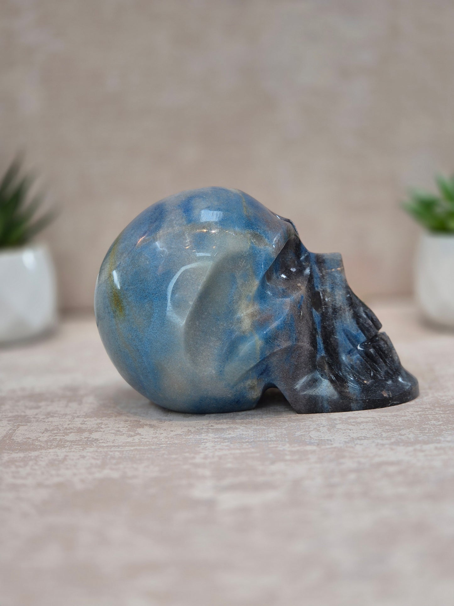 Trolleite Skull